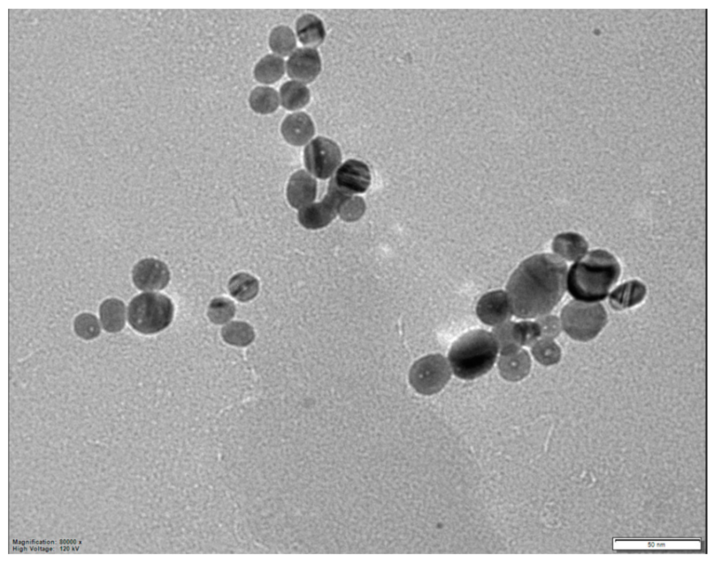 Materproc 04 00061 g003