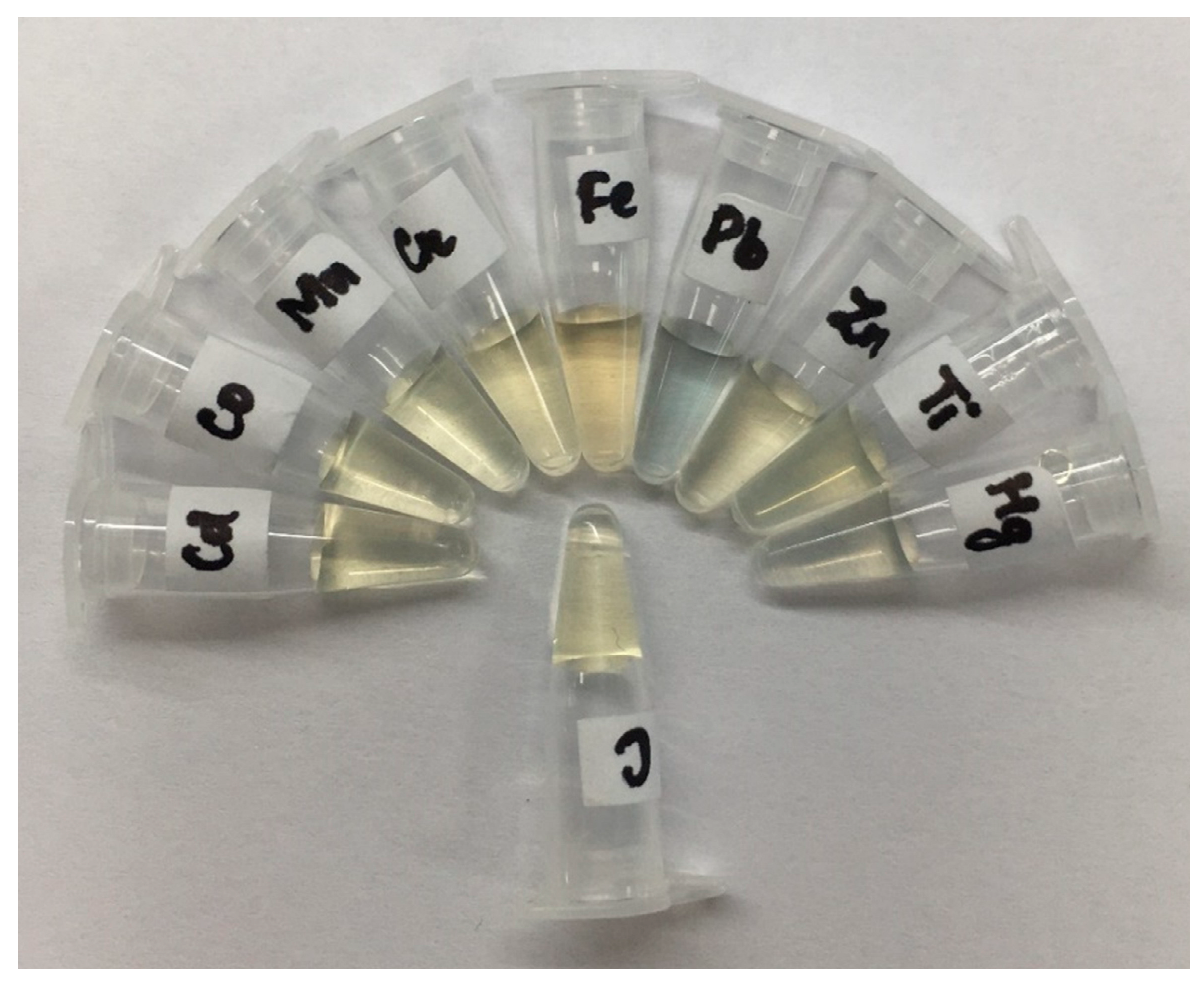 Materproc 04 00061 g004