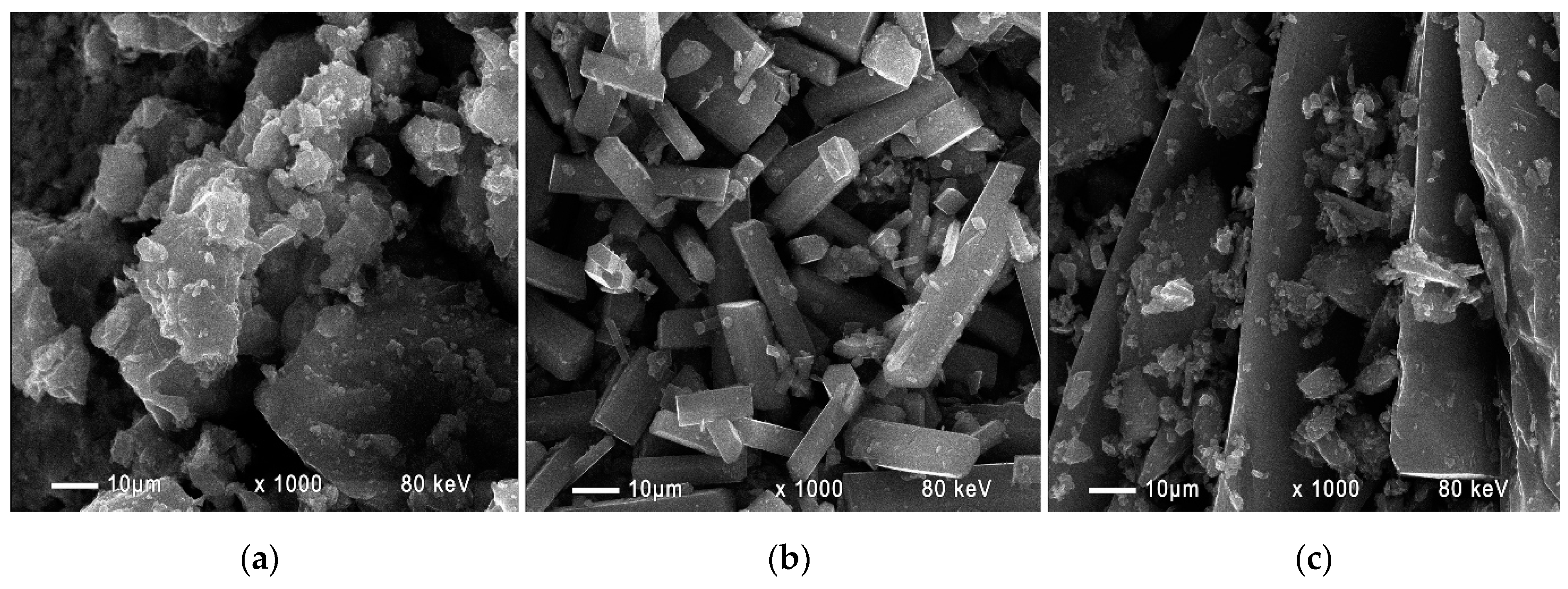 Materproc 04 00078 g004 550