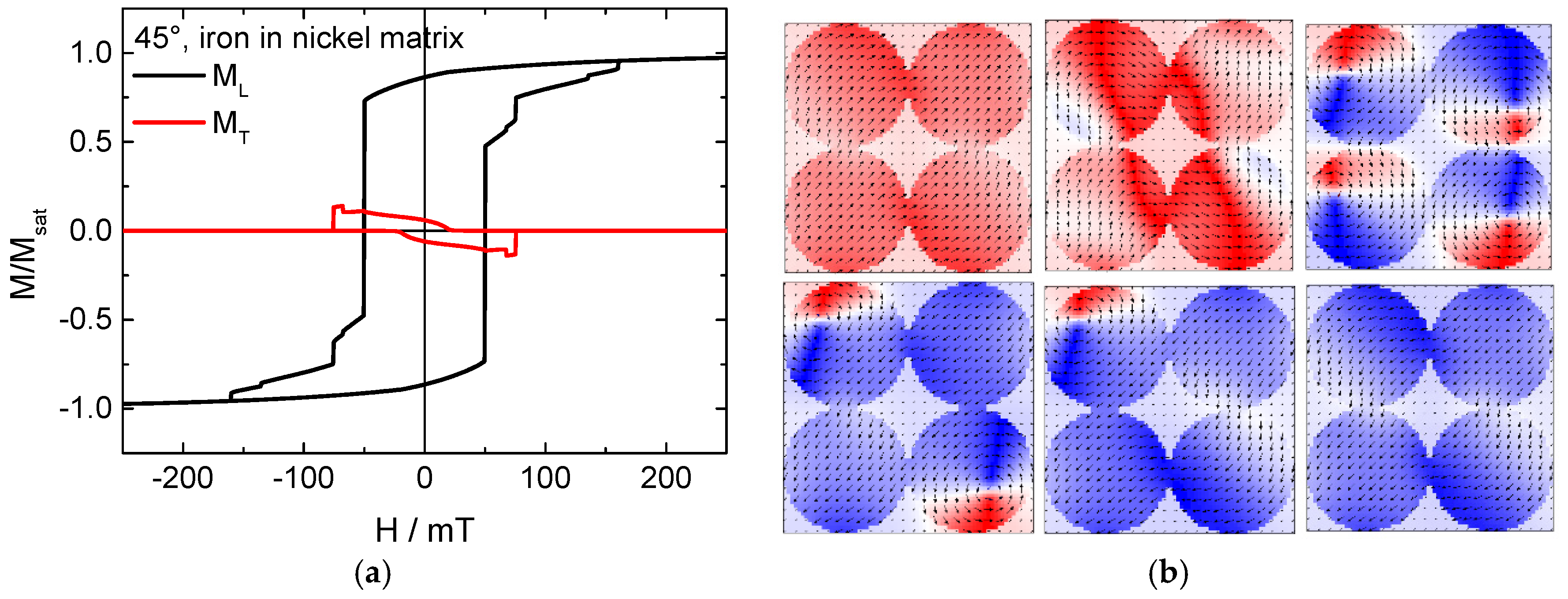 Materproc 04 00080 g003