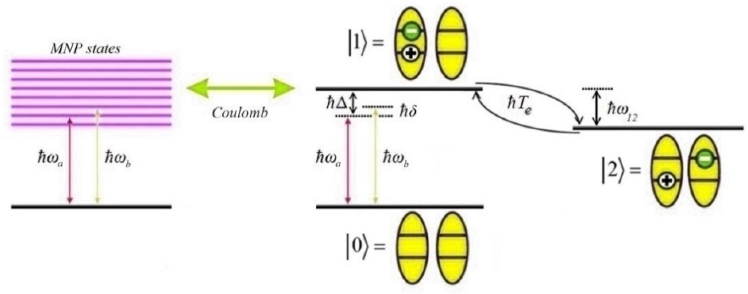 Materproc 04 00089 g001 550