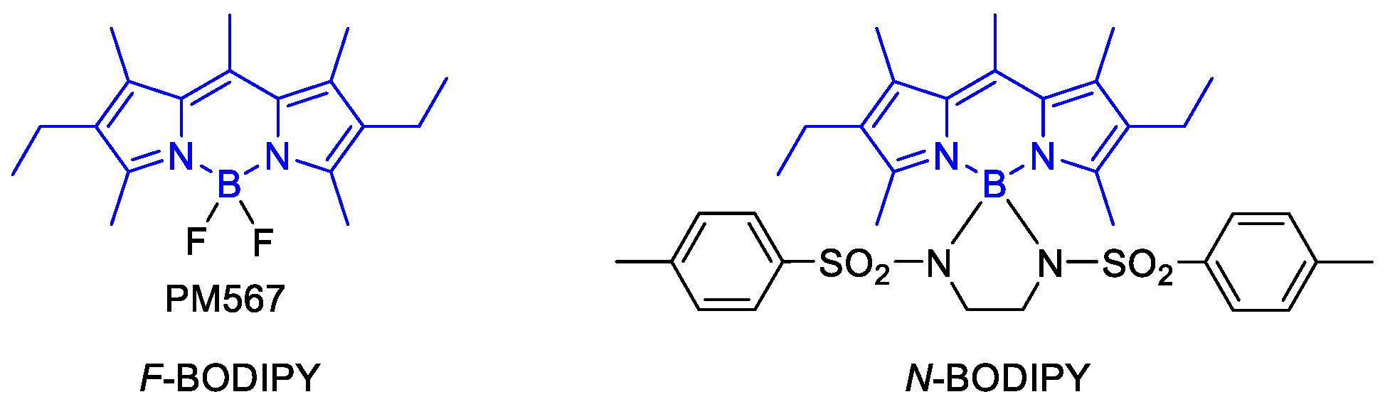 Materproc 04 00090 g001