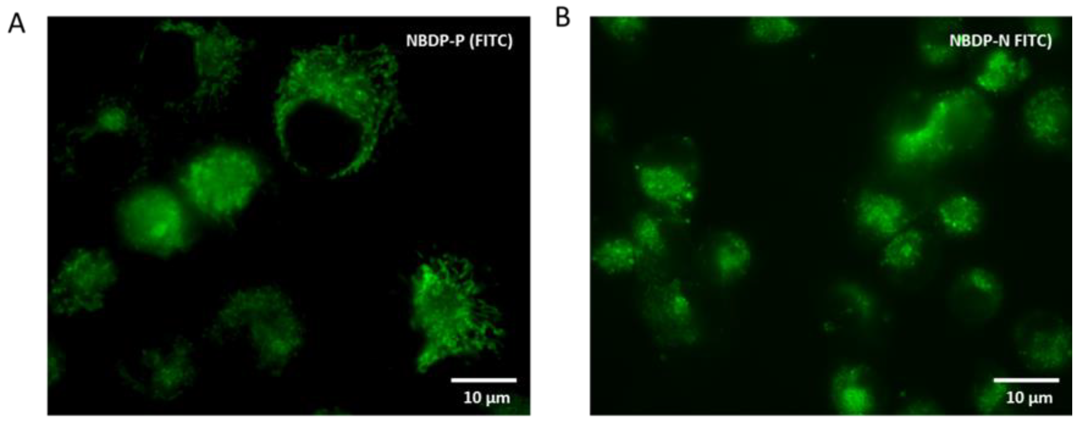 Materproc 04 00090 g005