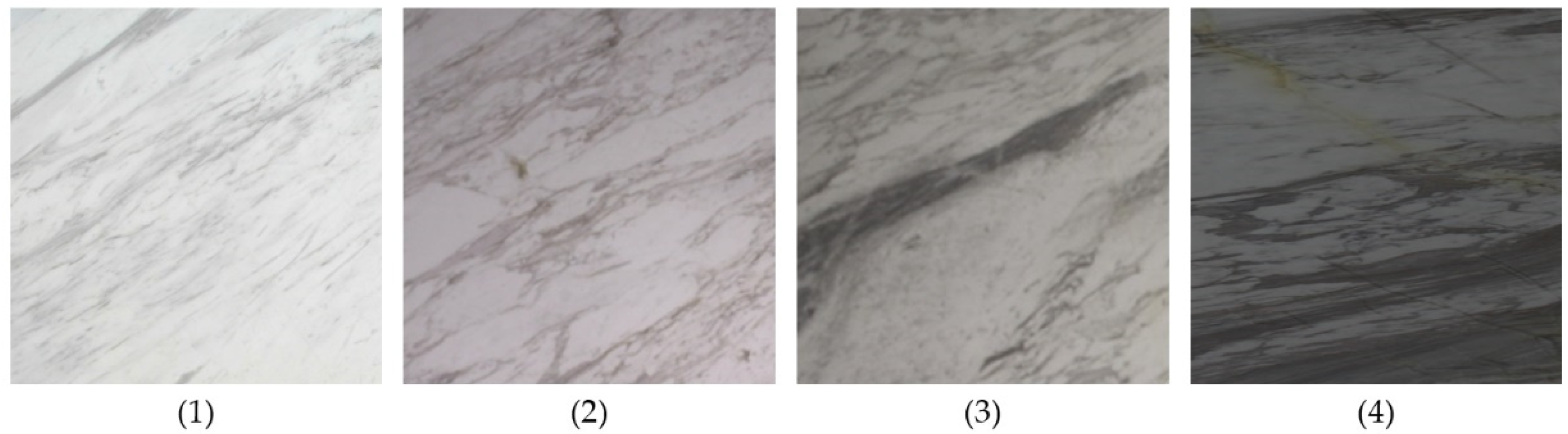 Materproc 05 00012 g002 550