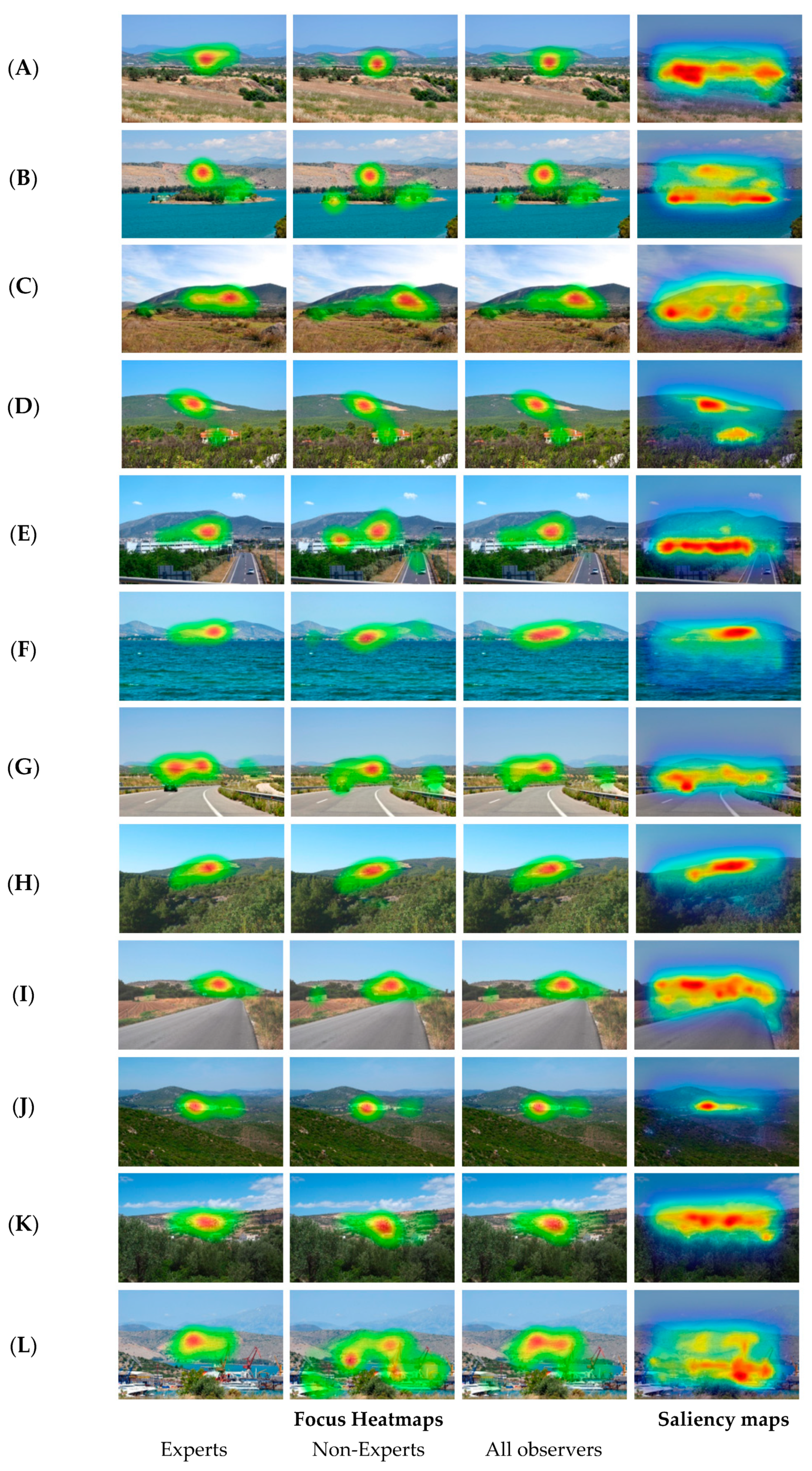 Materproc 05 00020 g002