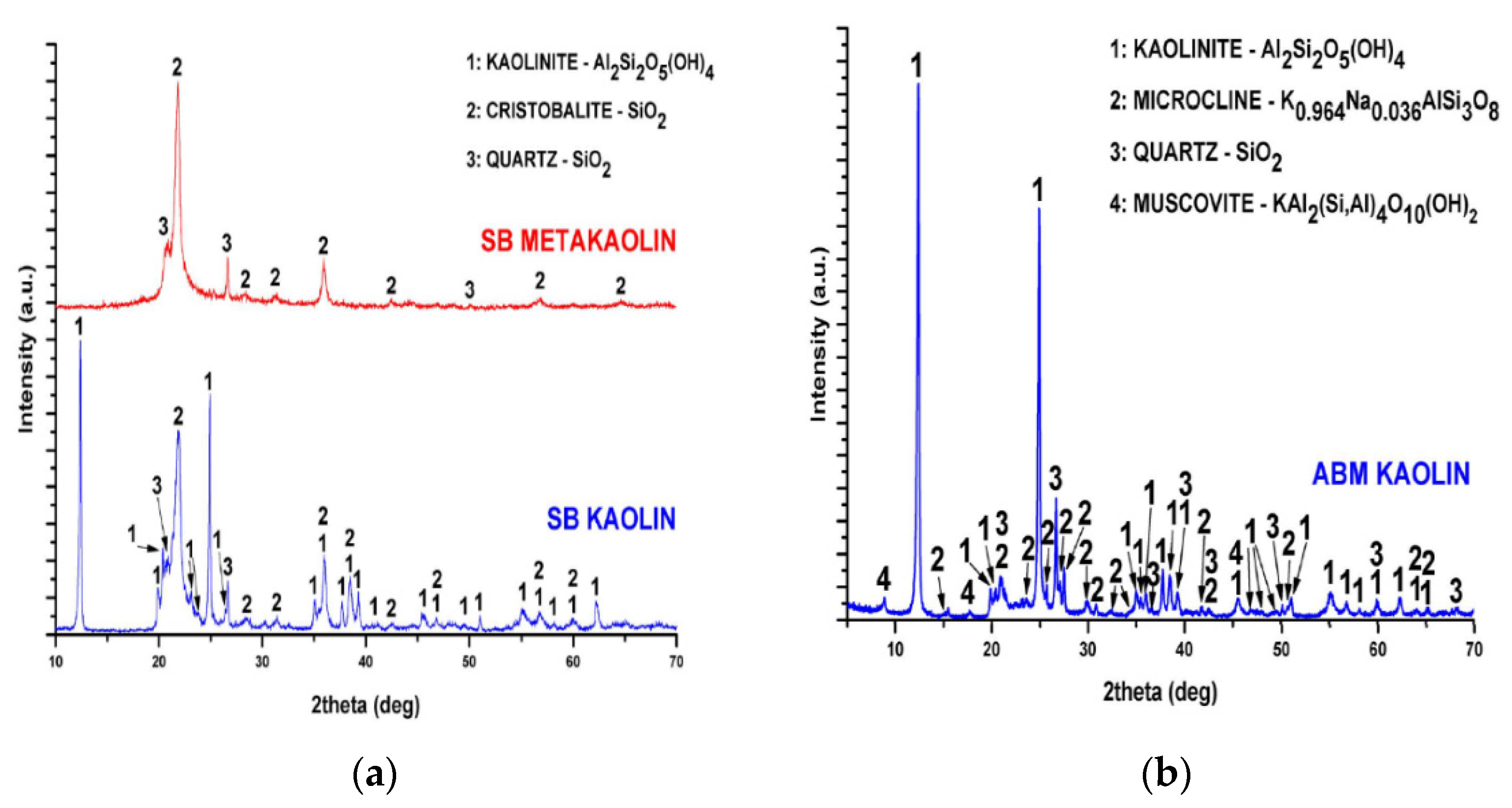Materproc 05 00024 g001 550
