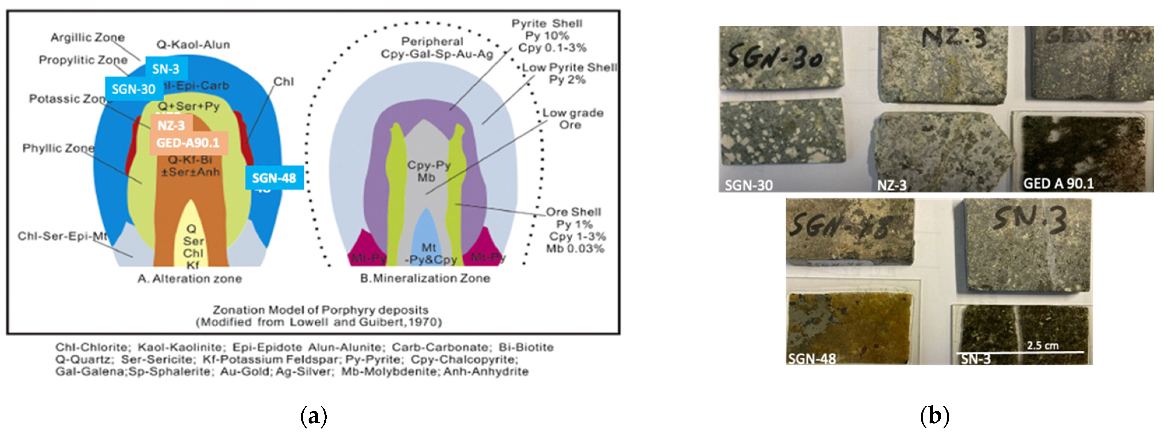 Materproc 05 00027 g001