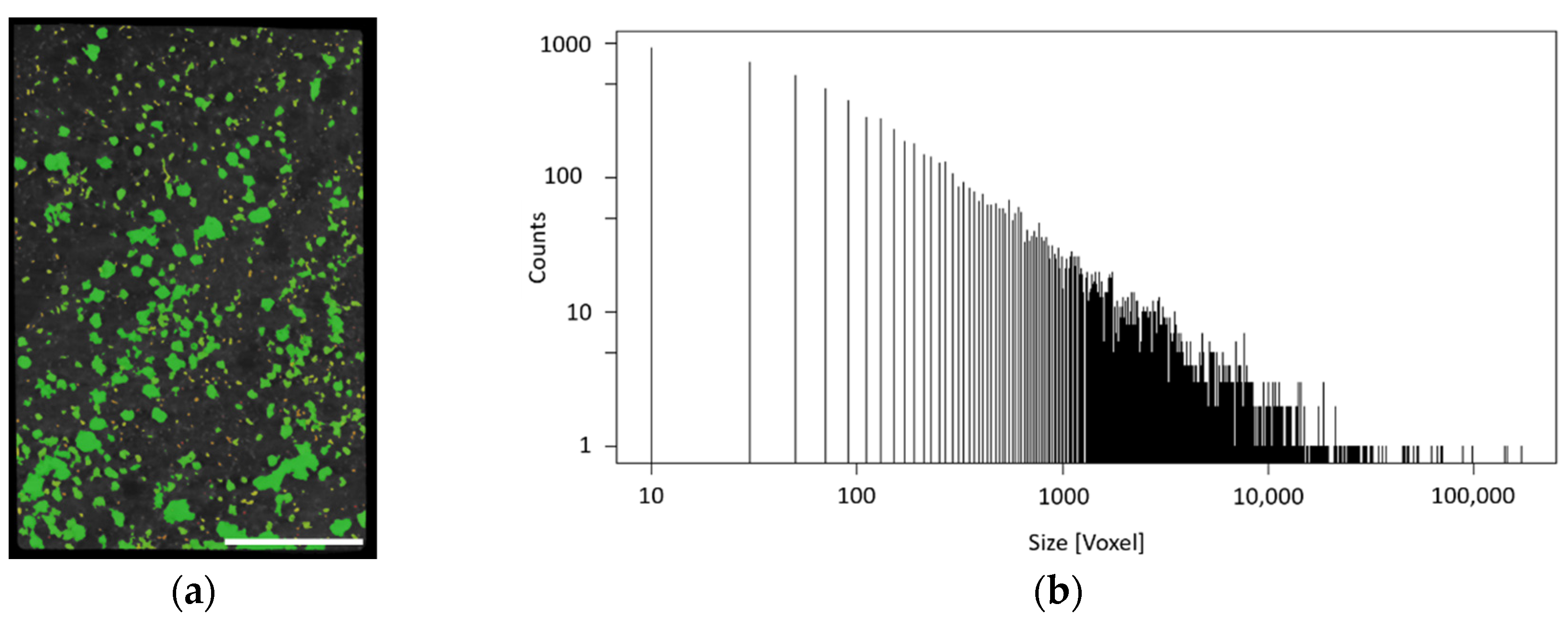 Materproc 05 00027 g005