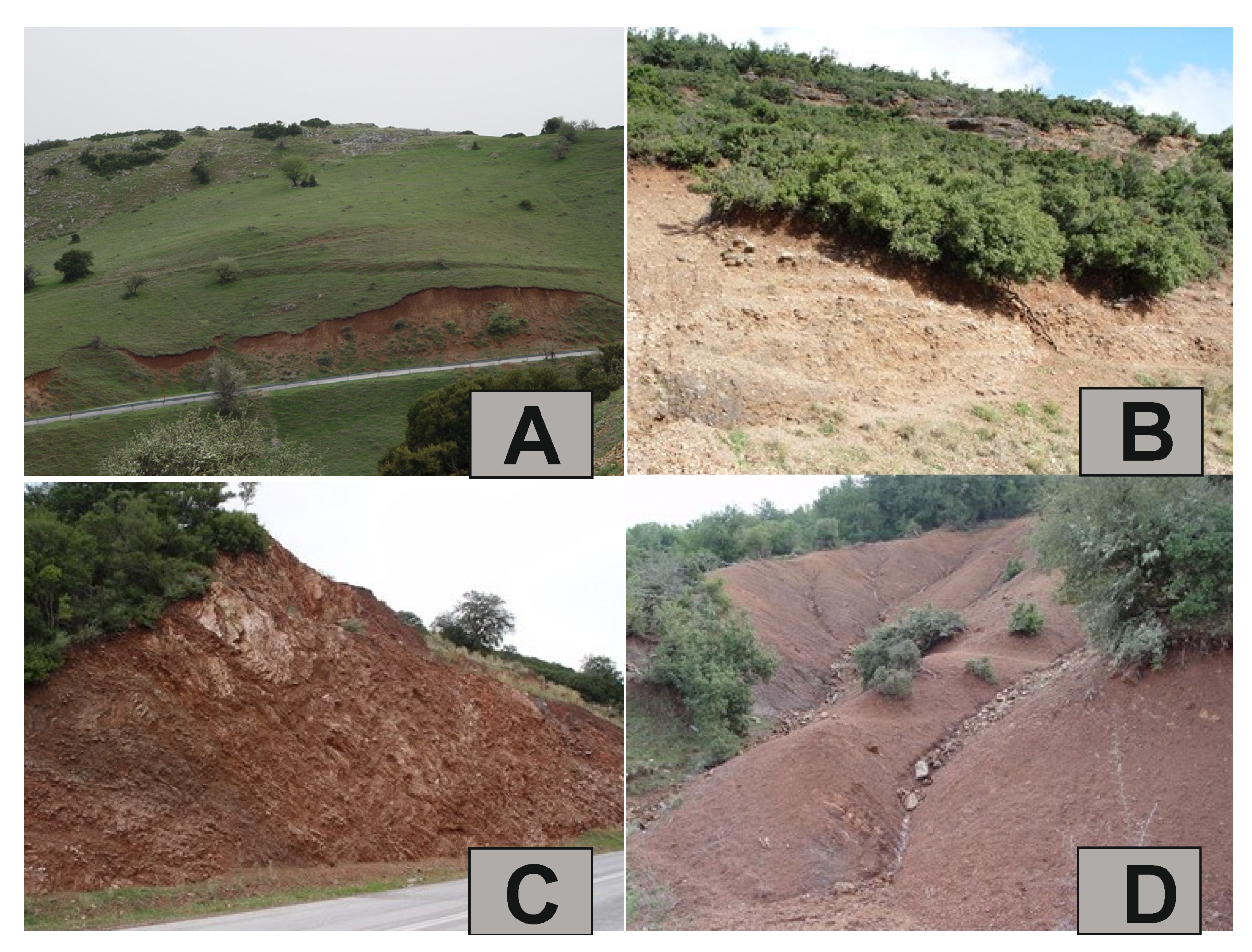 Materproc 05 00035 g003 550