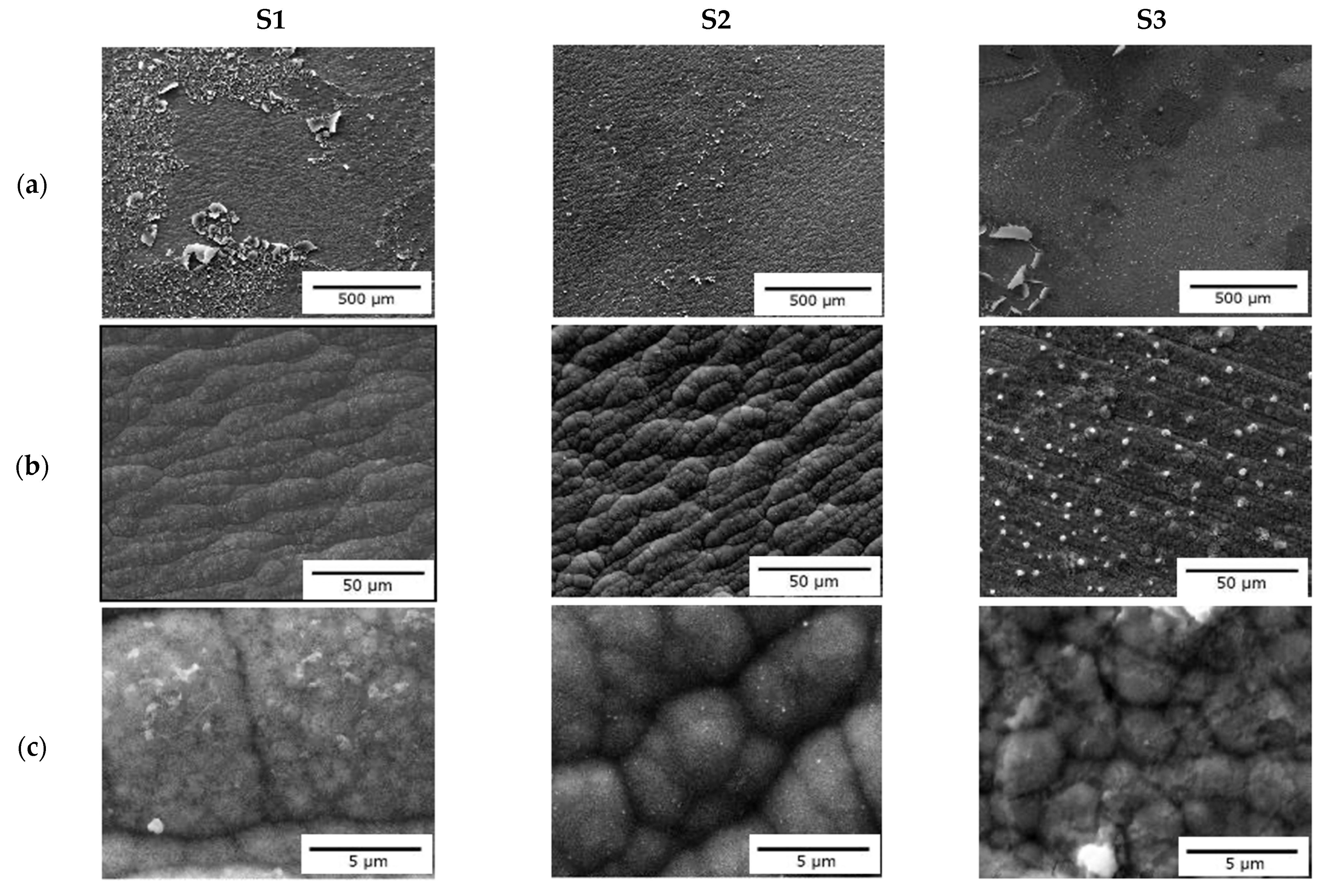 Materproc 05 00040 g003