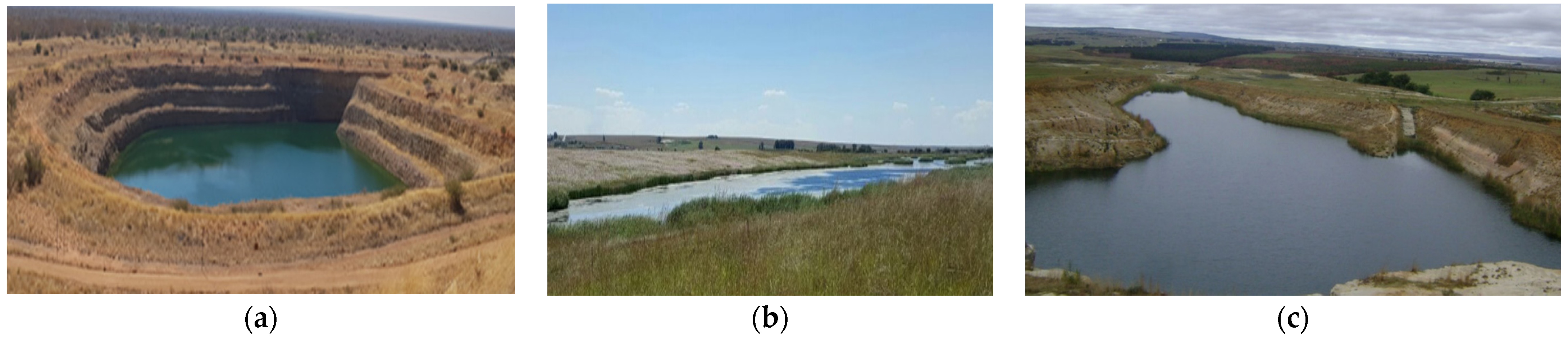 Materproc 05 00052 g002 550