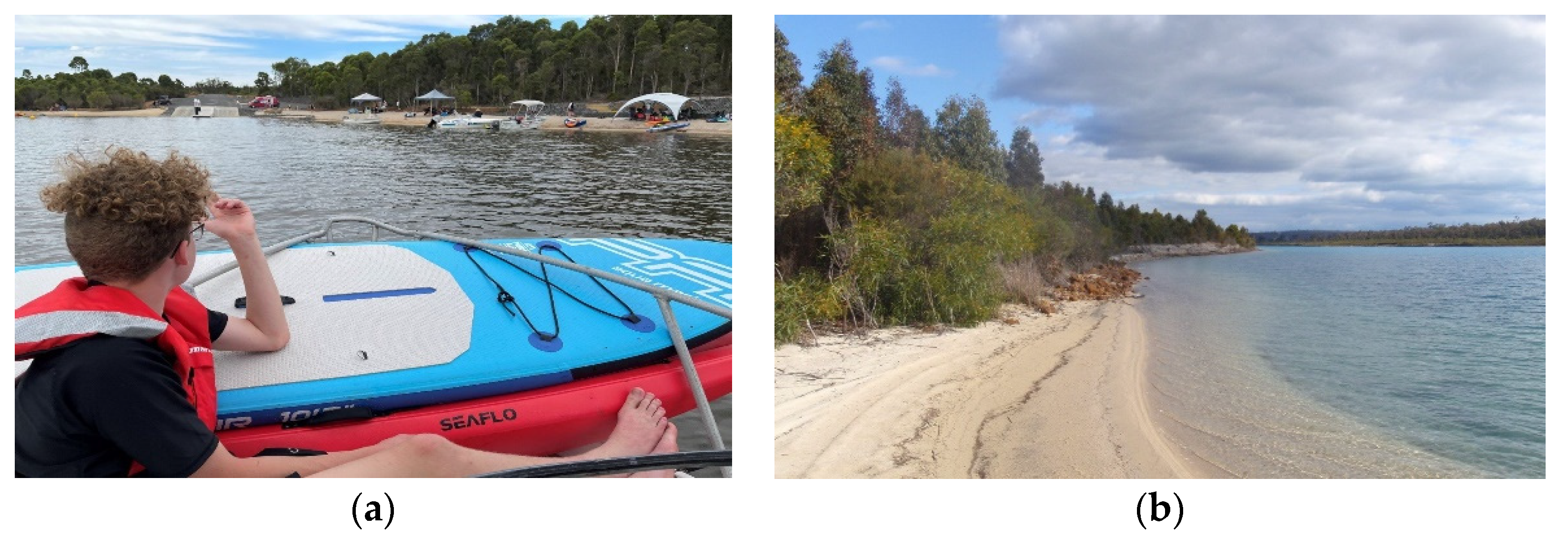 Materproc 05 00052 g003 550