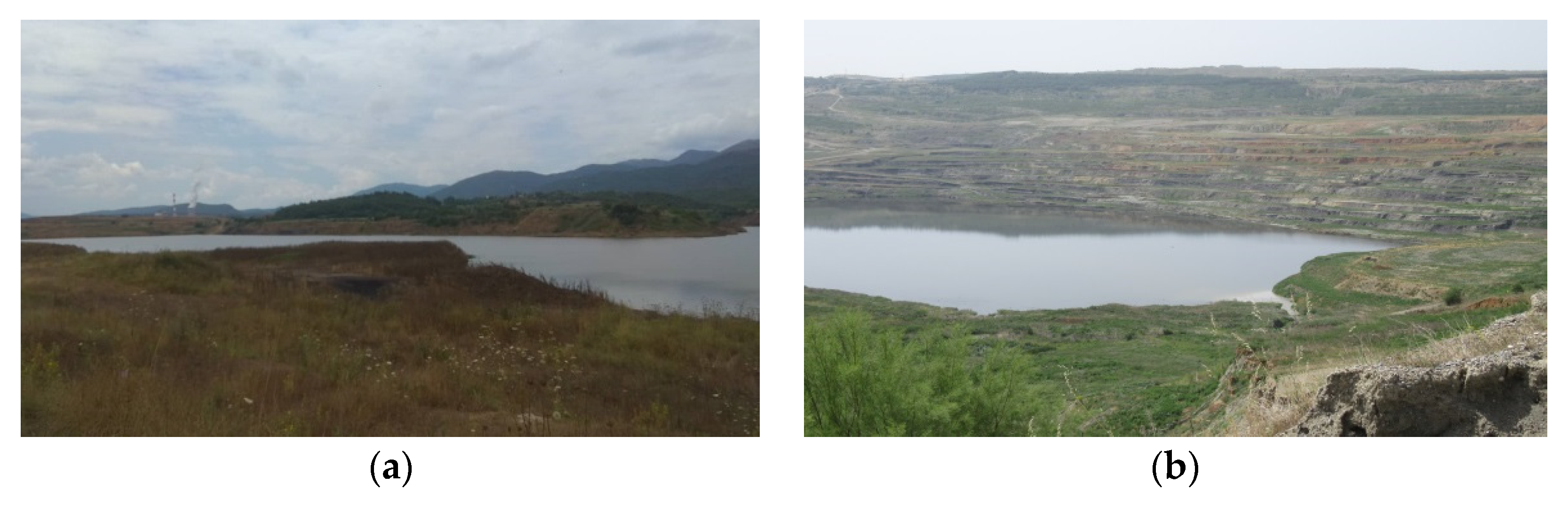 Materproc 05 00052 g004 550