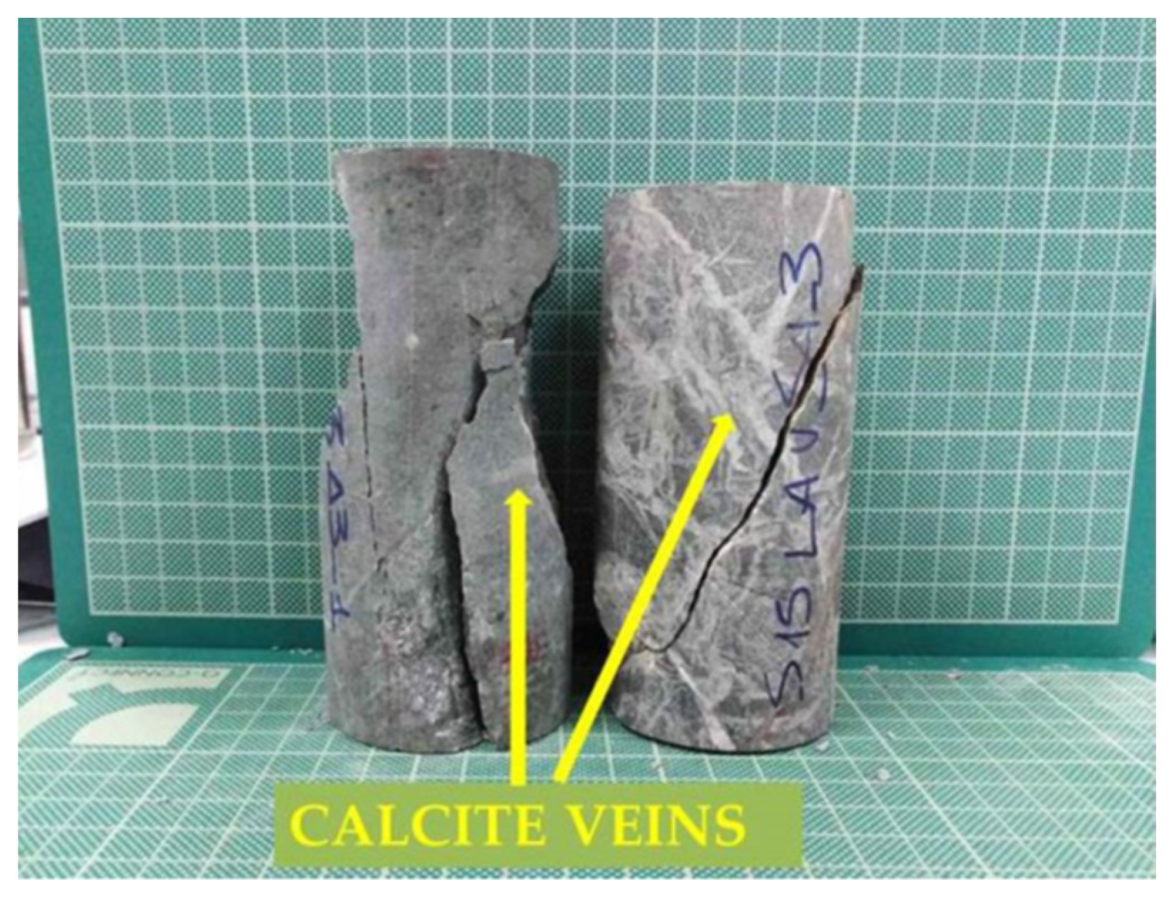 Materproc 05 00054 g001 550