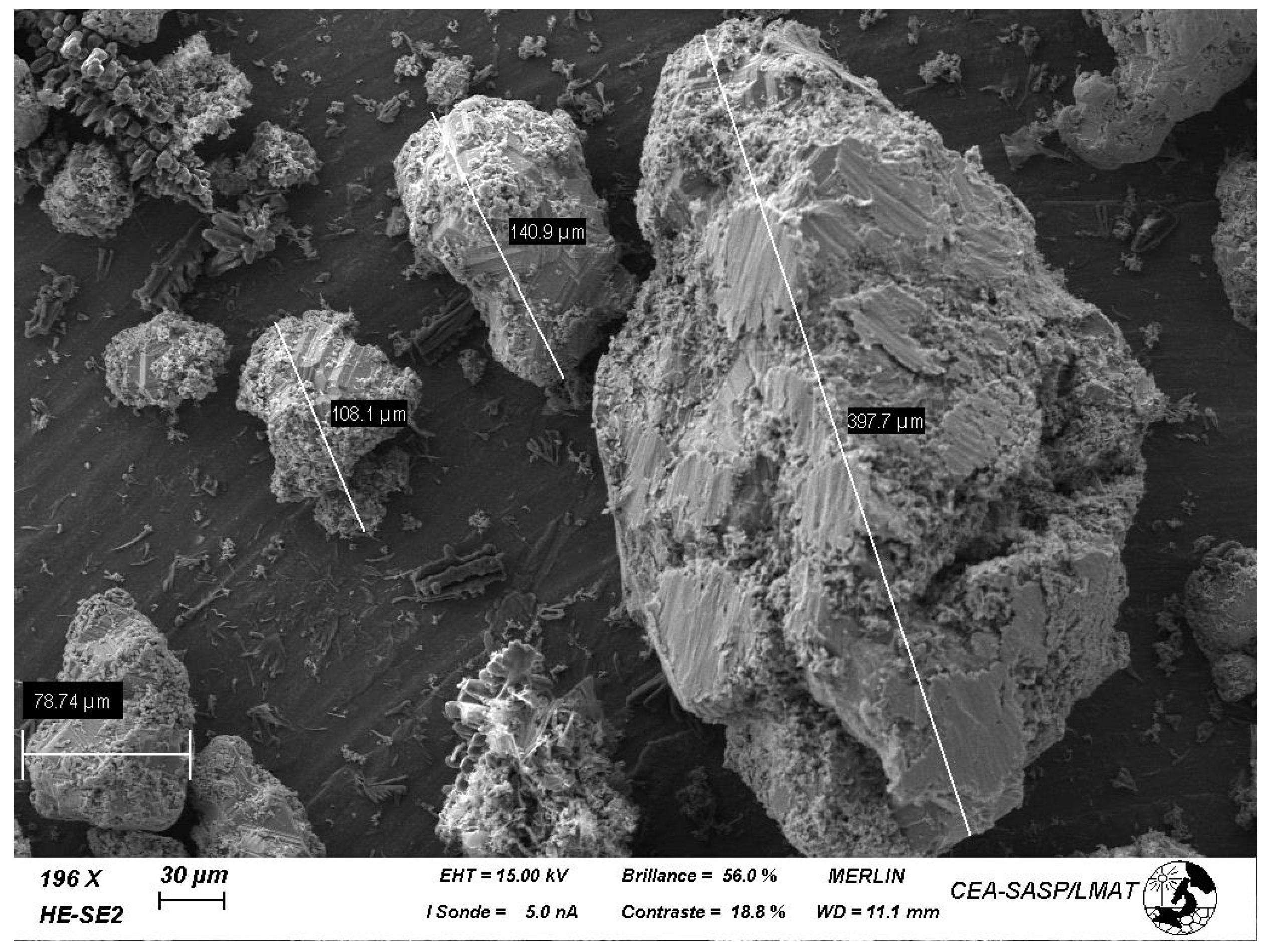 Materproc 05 00063 g005