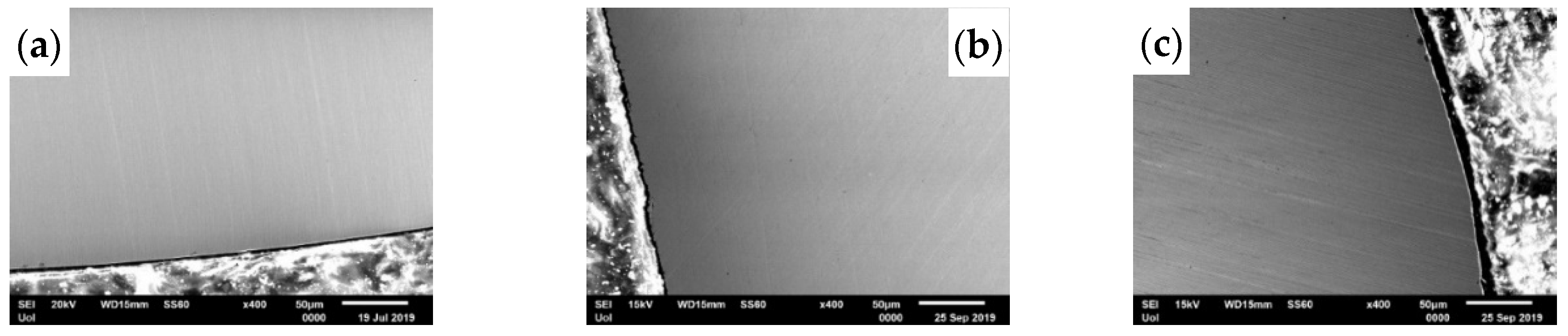 Materproc 05 00072 g003 Materproc 05 00072 g003