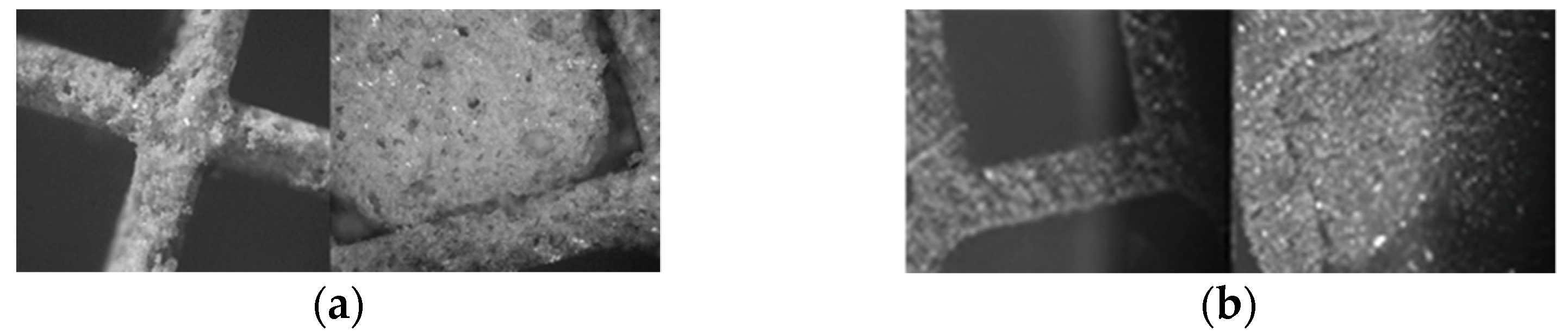 Materproc 05 00107 g001 550