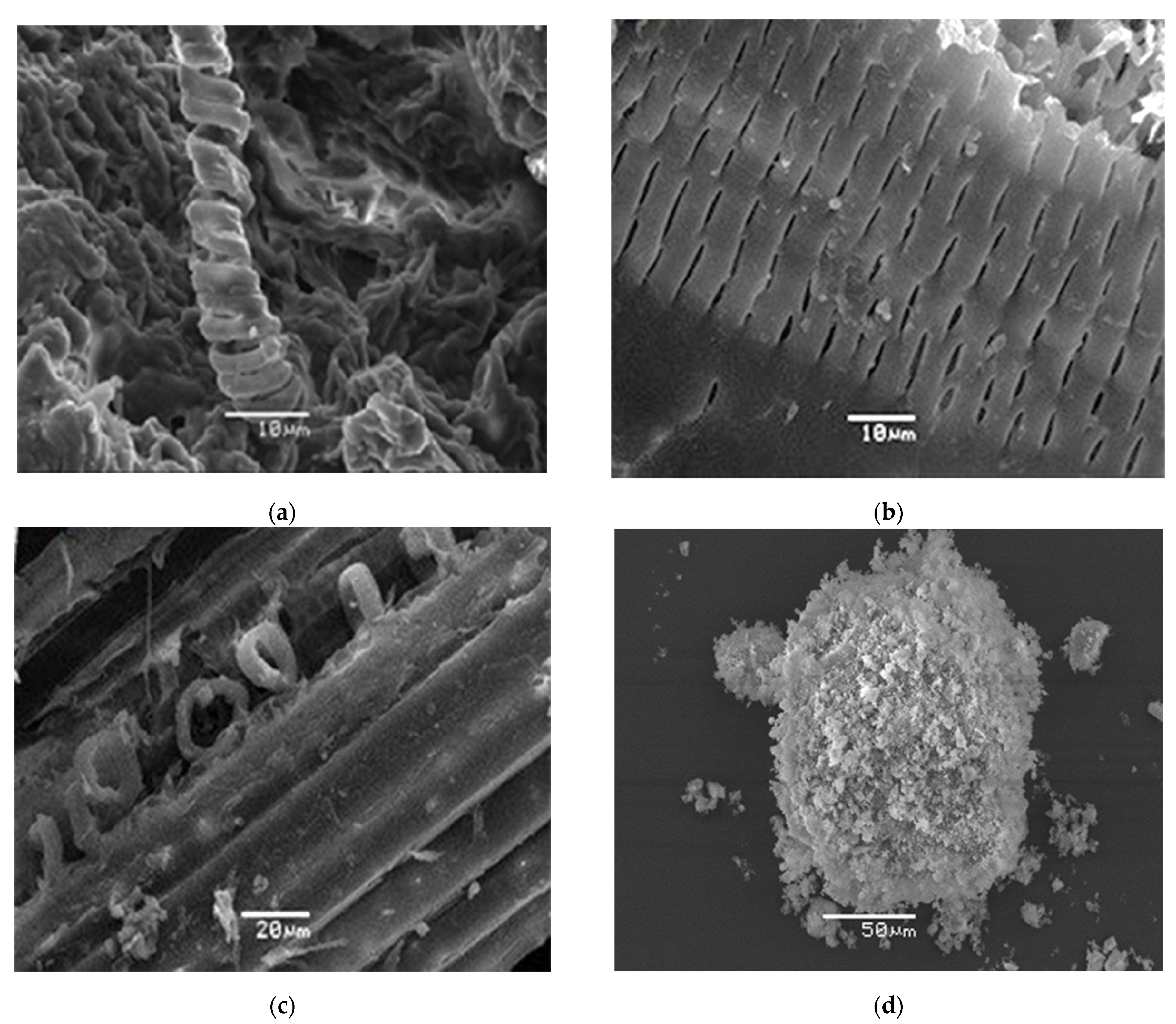 Materproc 05 00108 g001