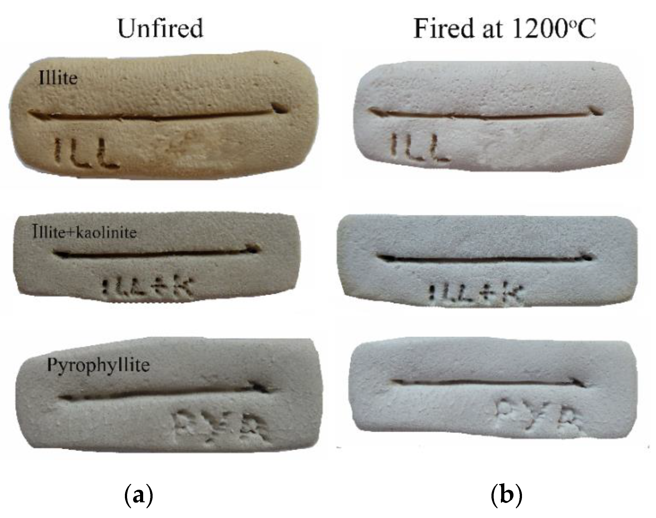 Materproc 05 00114 g001 550