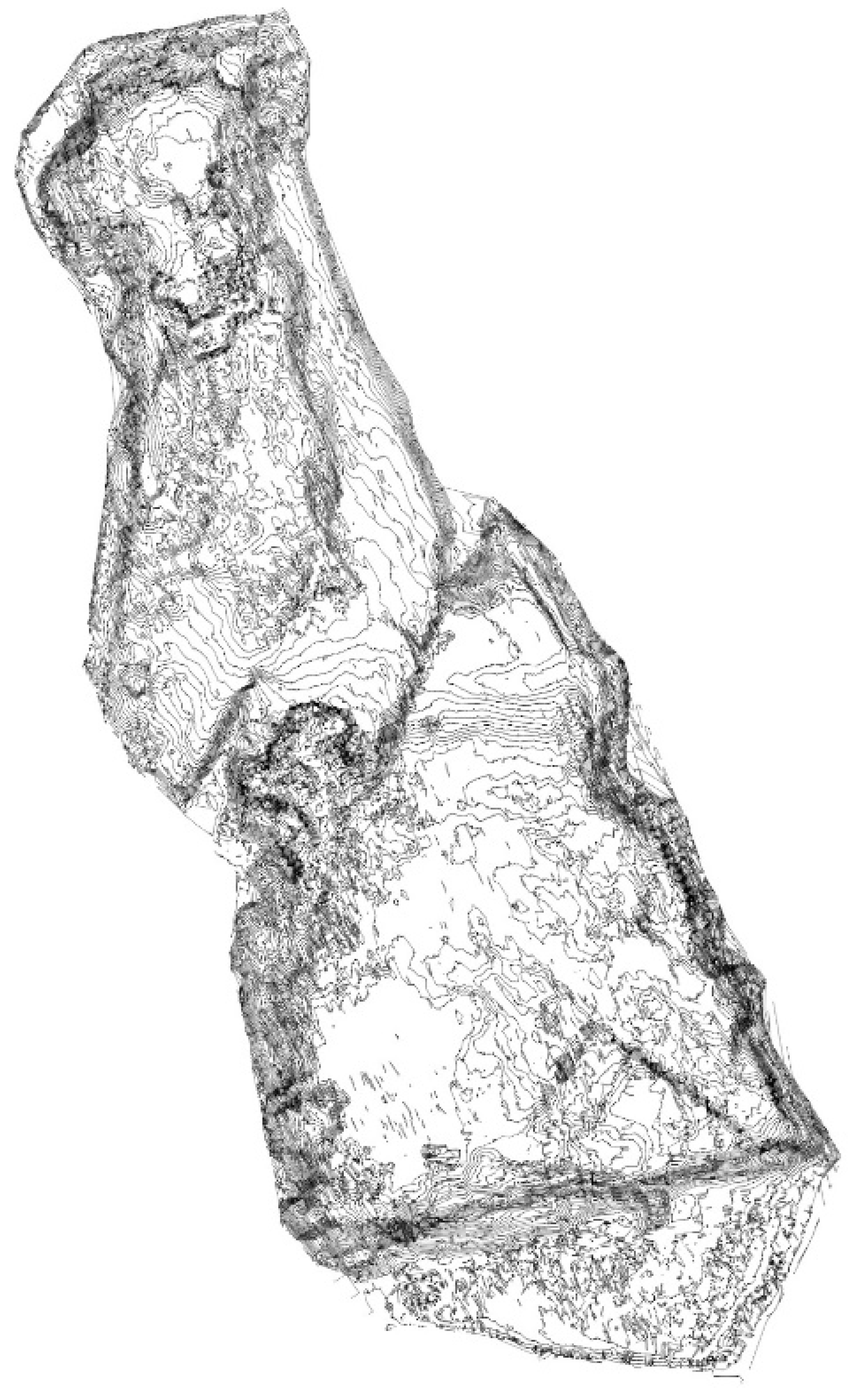 Materproc 05 00117 g003 550