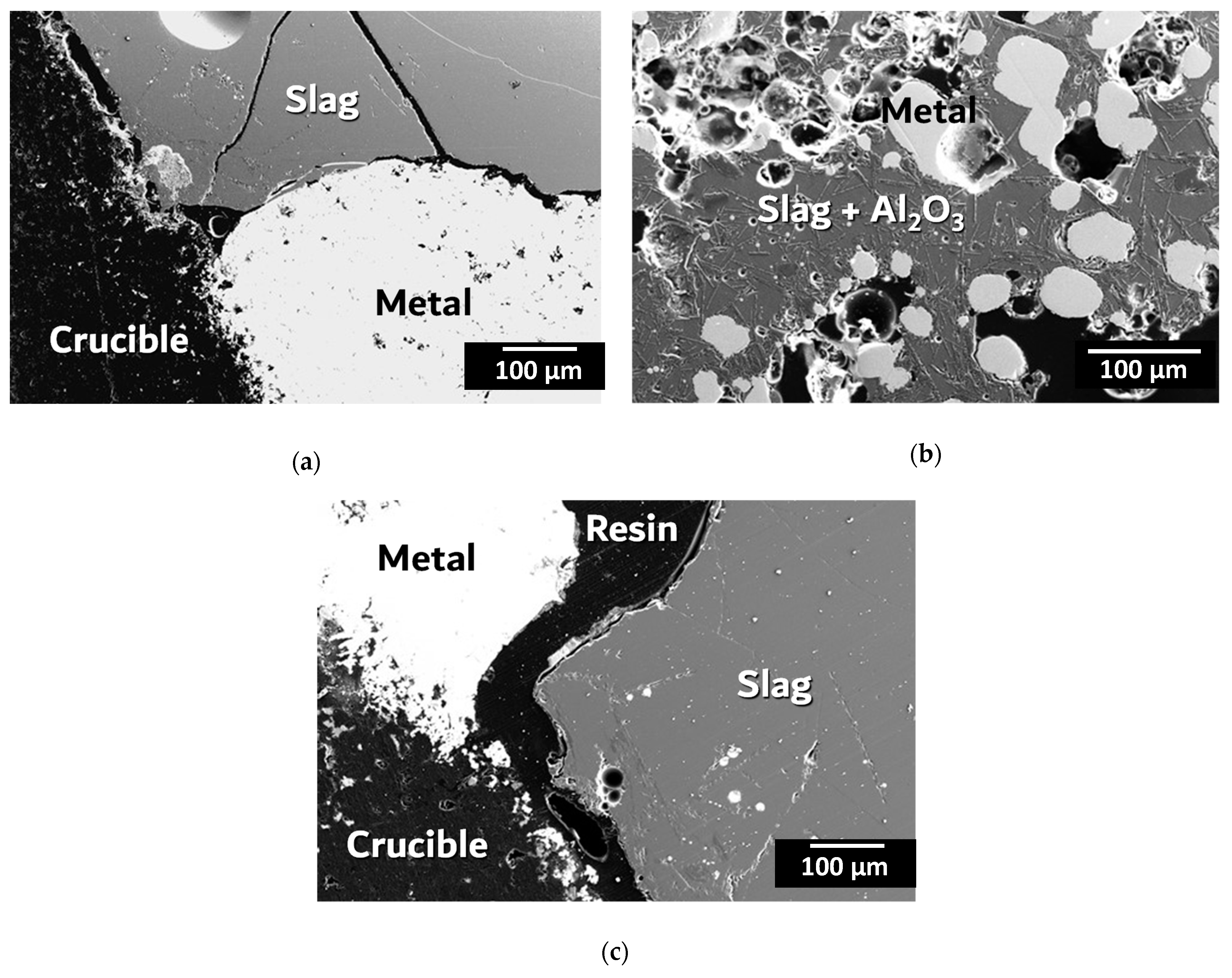 Materproc 05 00128 g003 550