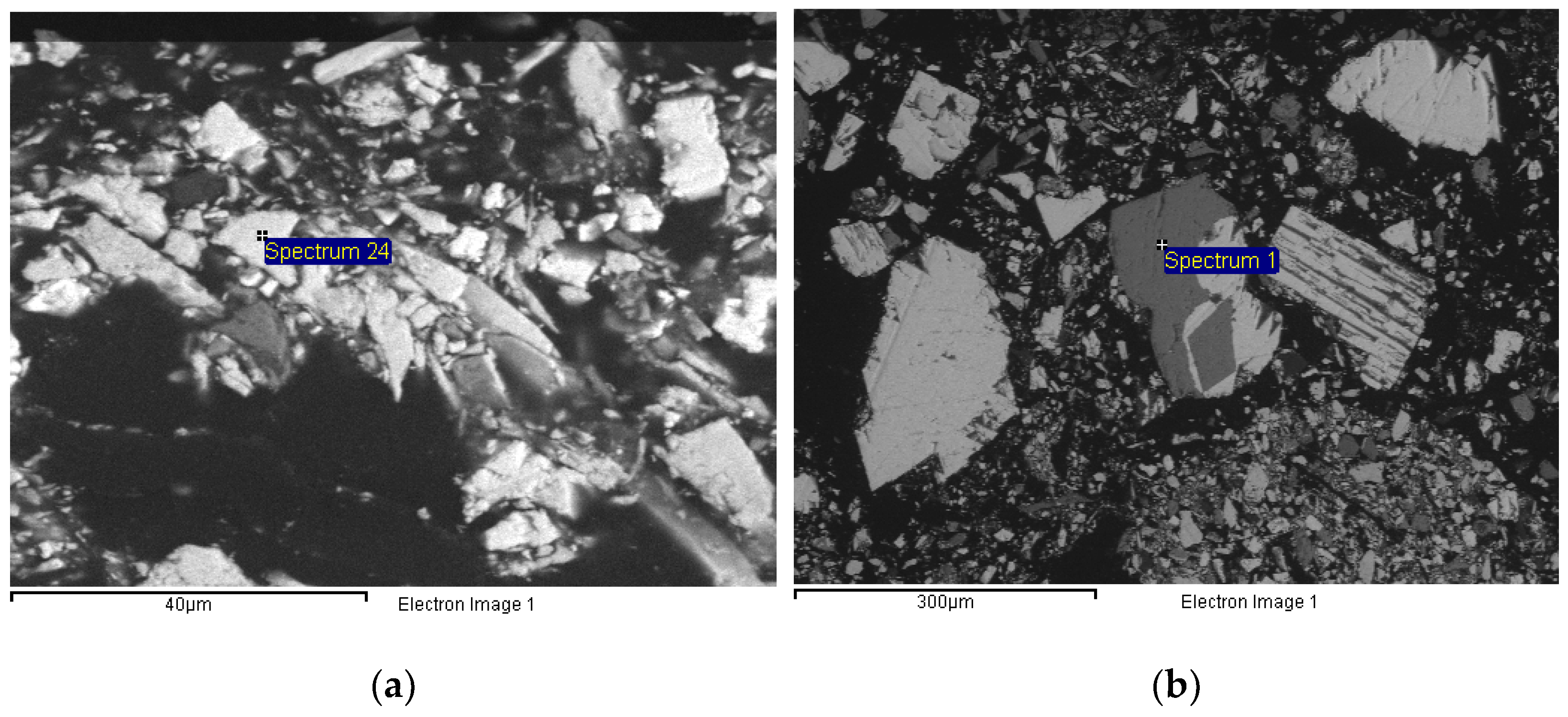 Materproc 05 00130 g002 550