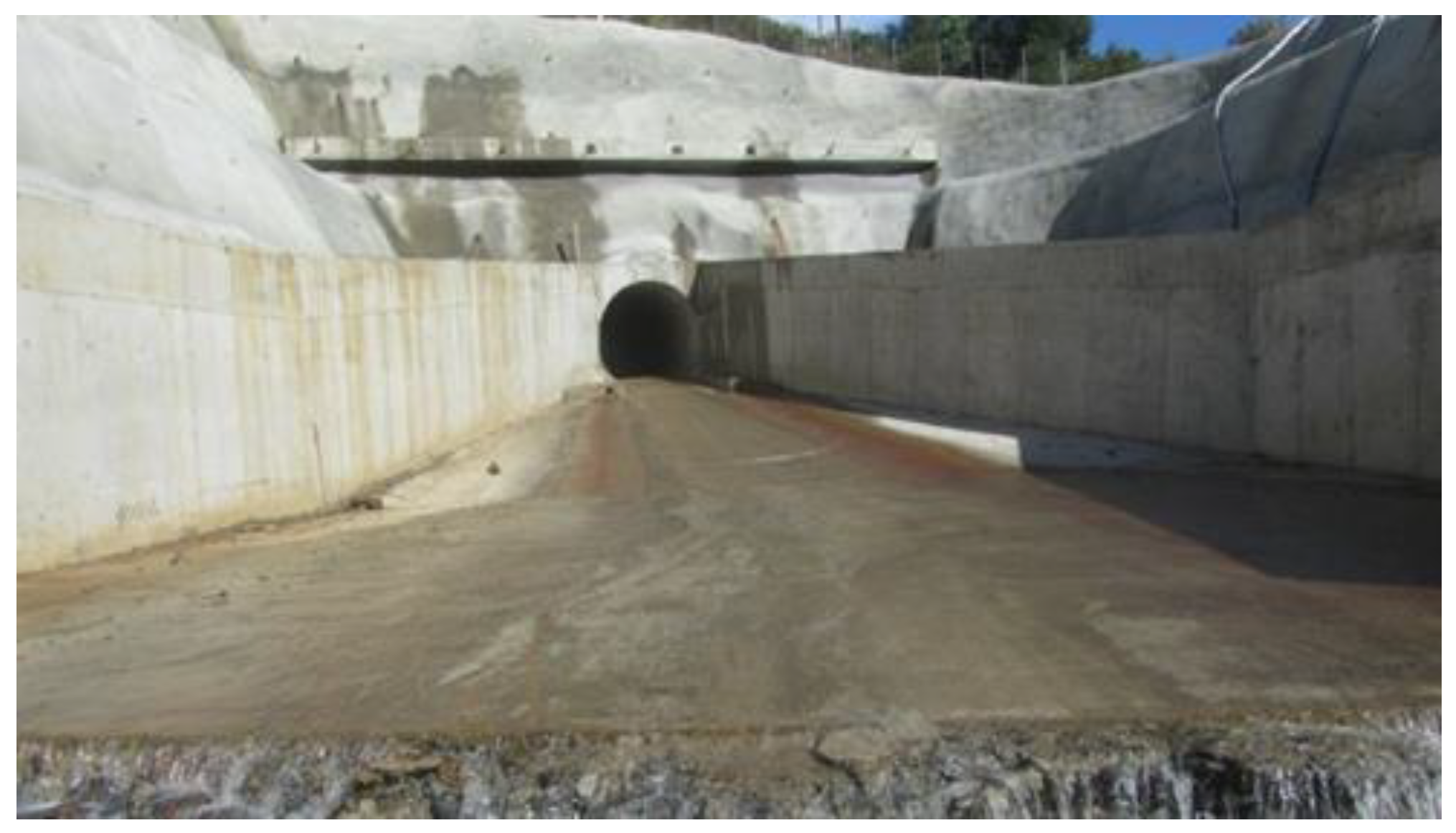 Materproc 05 00132 g003