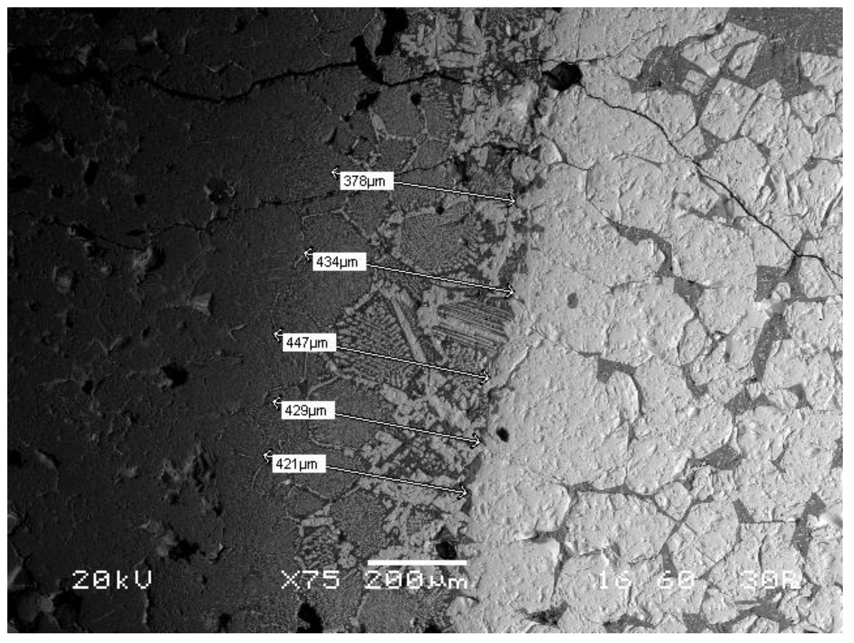Materproc 05 00135 g002 550