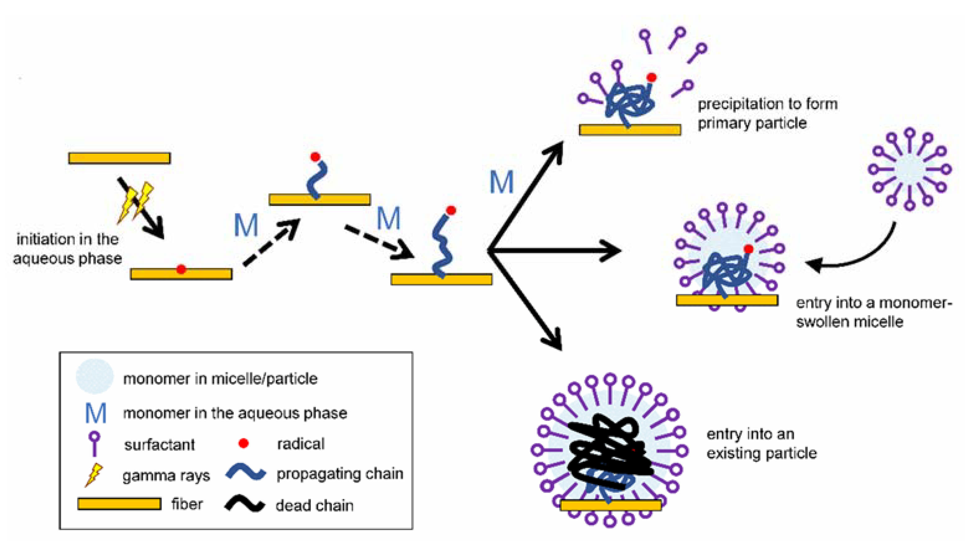 Materproc 07 00004 g001