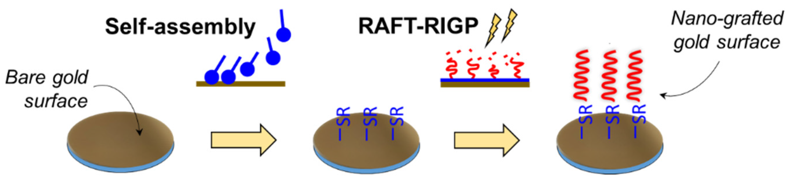 Materproc 07 00005 g001