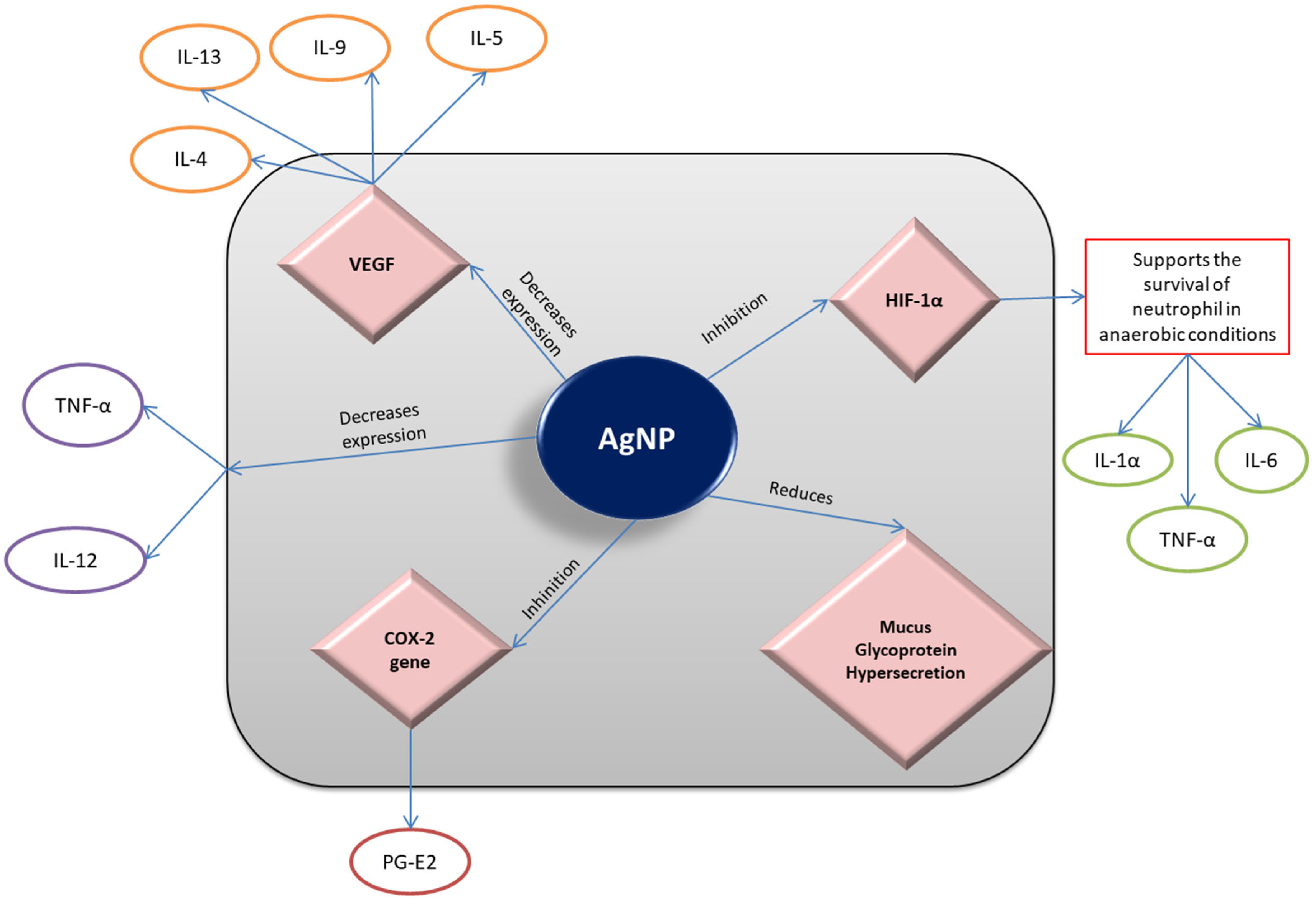 Materproc 09 00003 g002 550