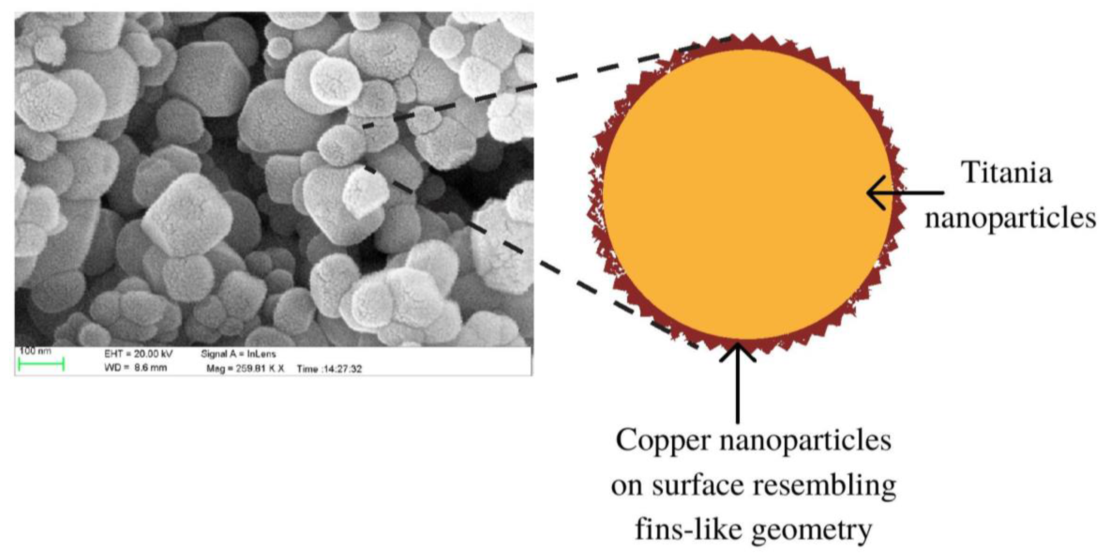 Materproc 09 00008 g001