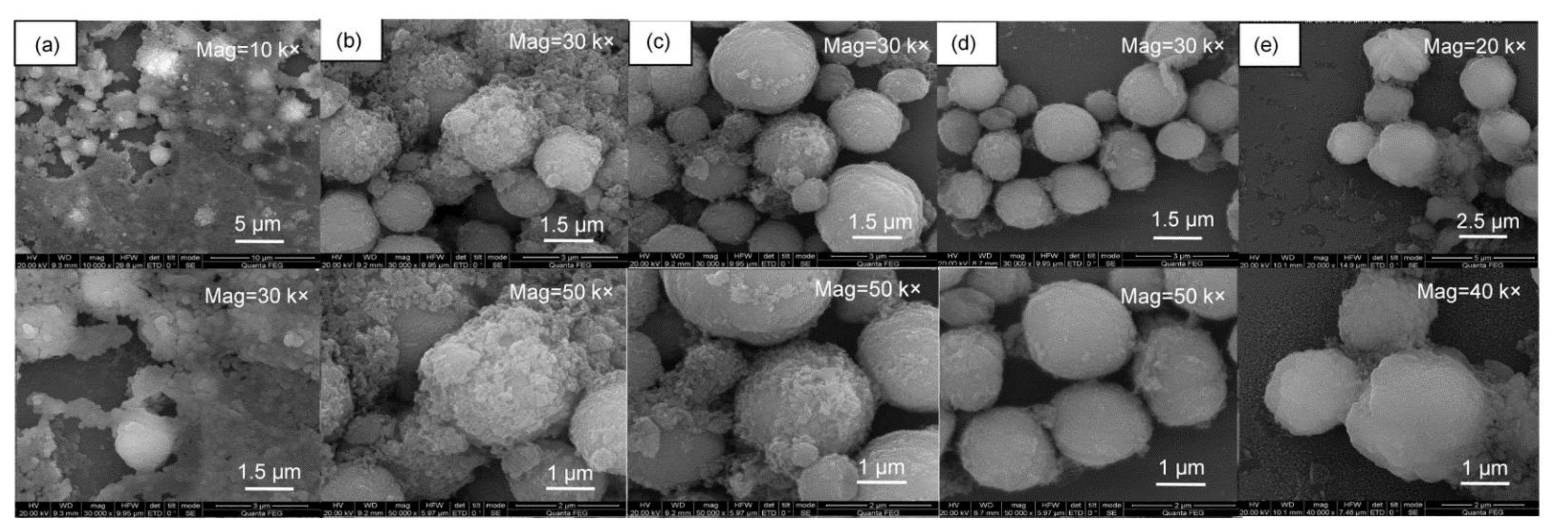 Materproc 09 00008 g003