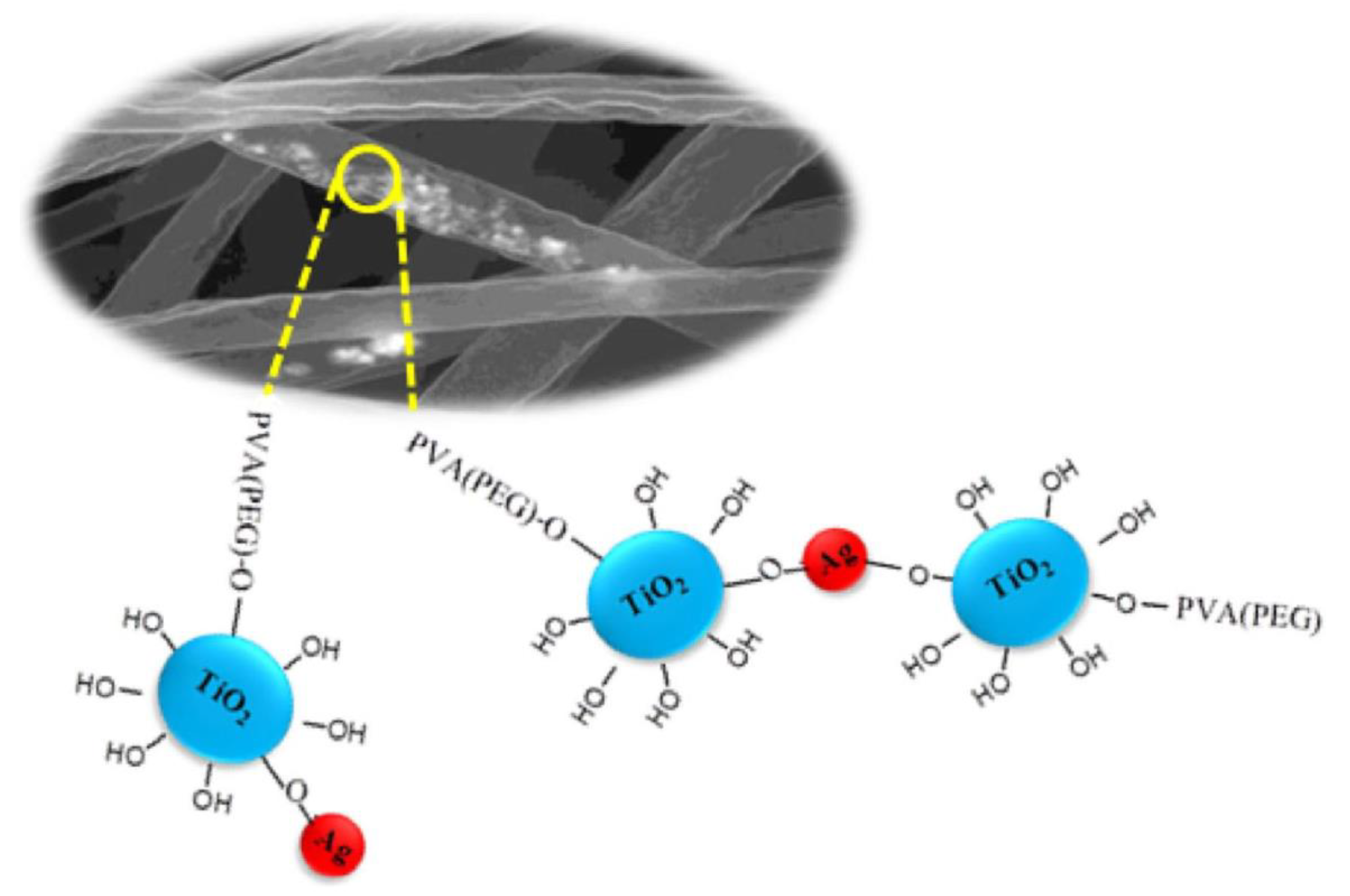 Materproc 09 00008 g008
