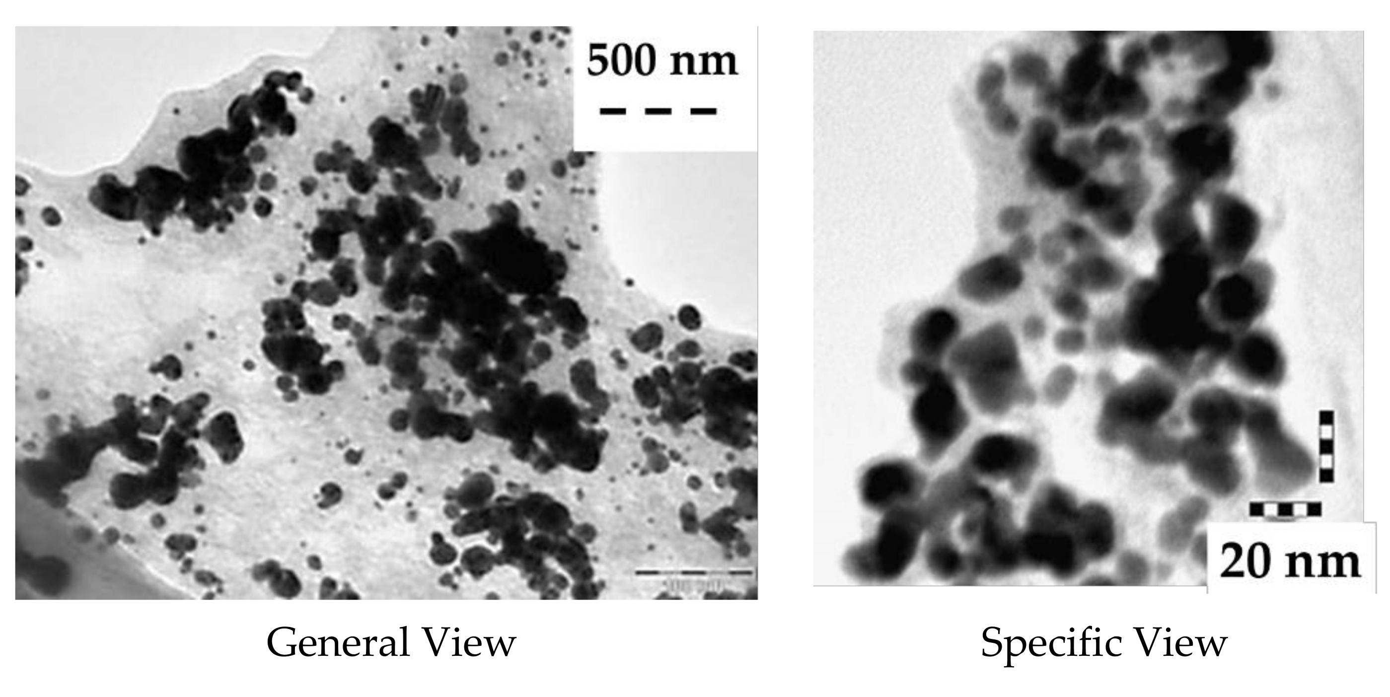 Materproc 09 00010 g002 550