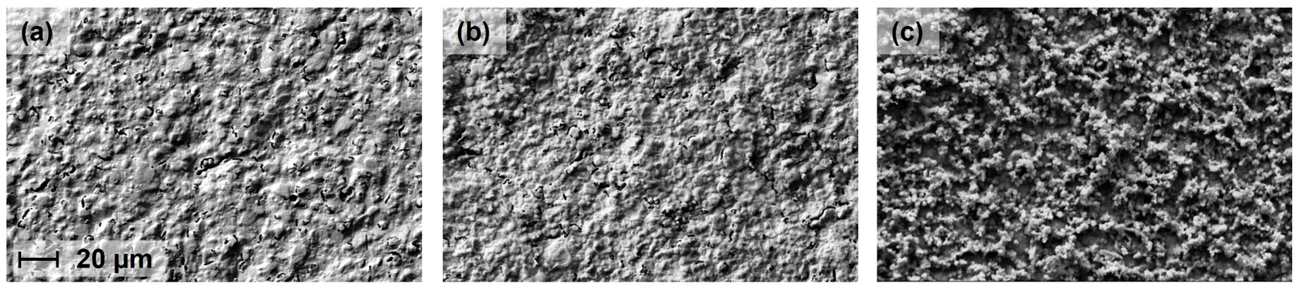 Materproc 09 00011 g001 Materproc 09 00011 g001