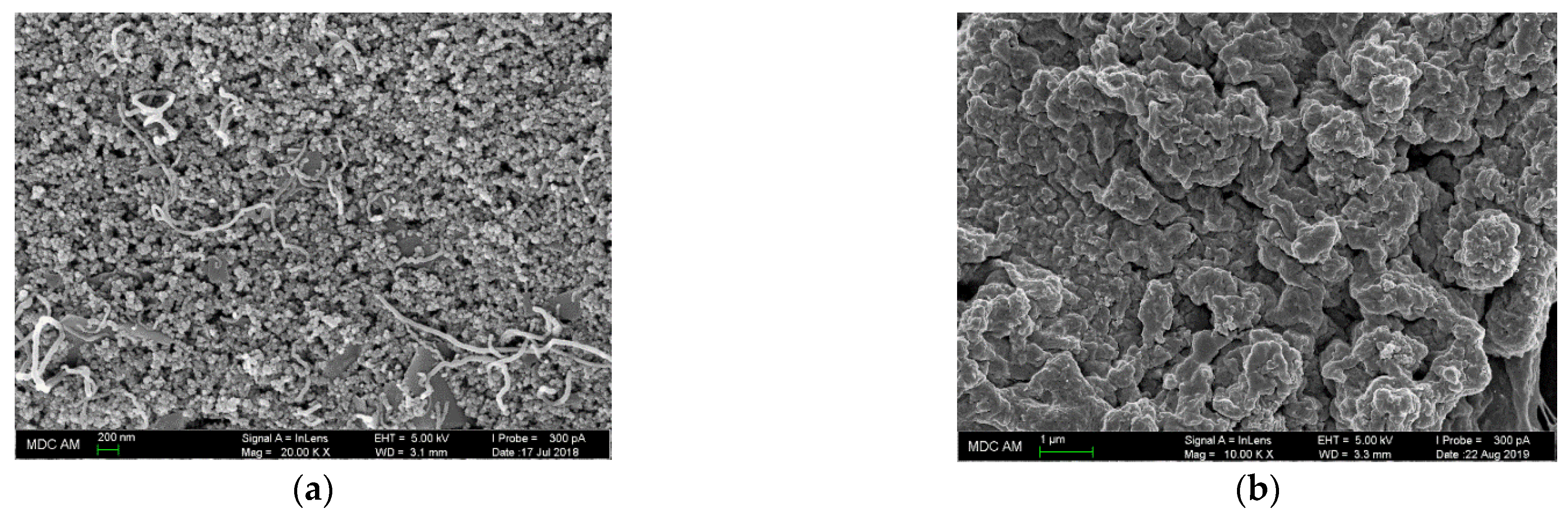 Materproc 09 00013 g003 550