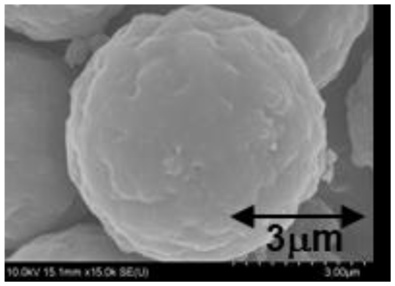 Materproc 11 00003 g004