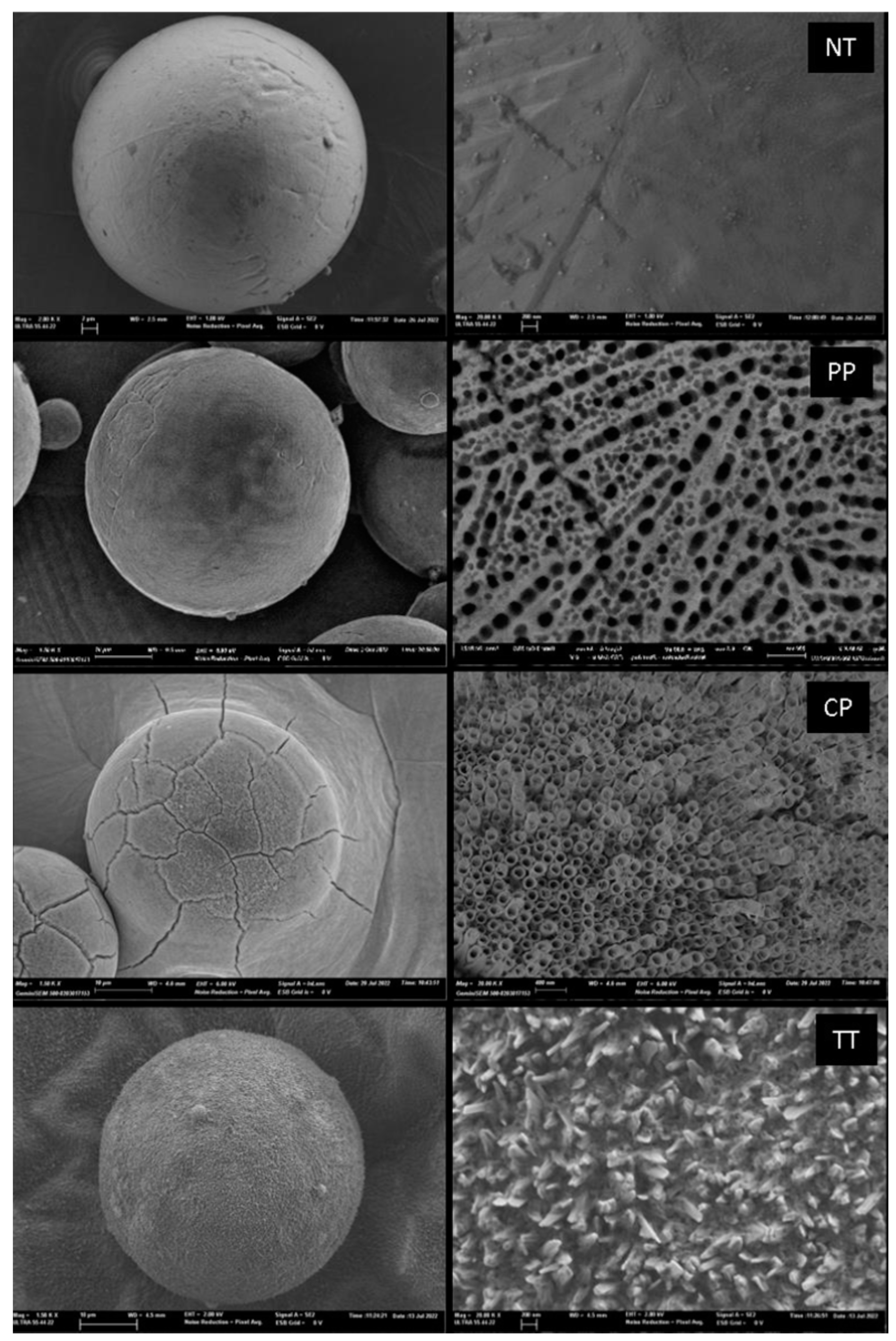 Materproc 11 00004 g001