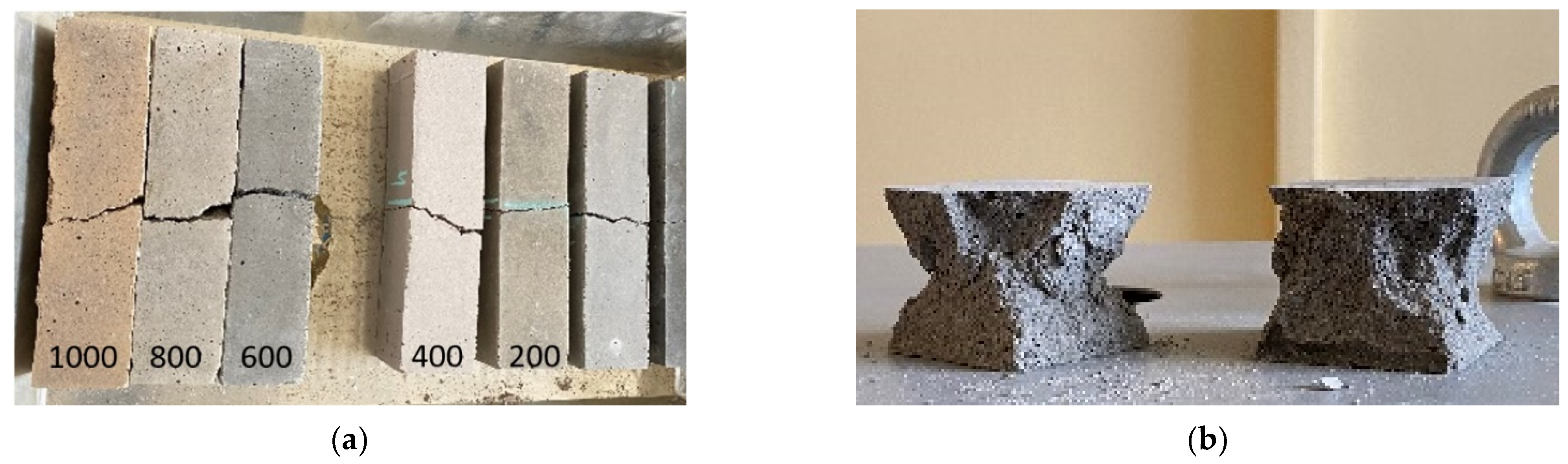 Materproc 13 00007 g002 550