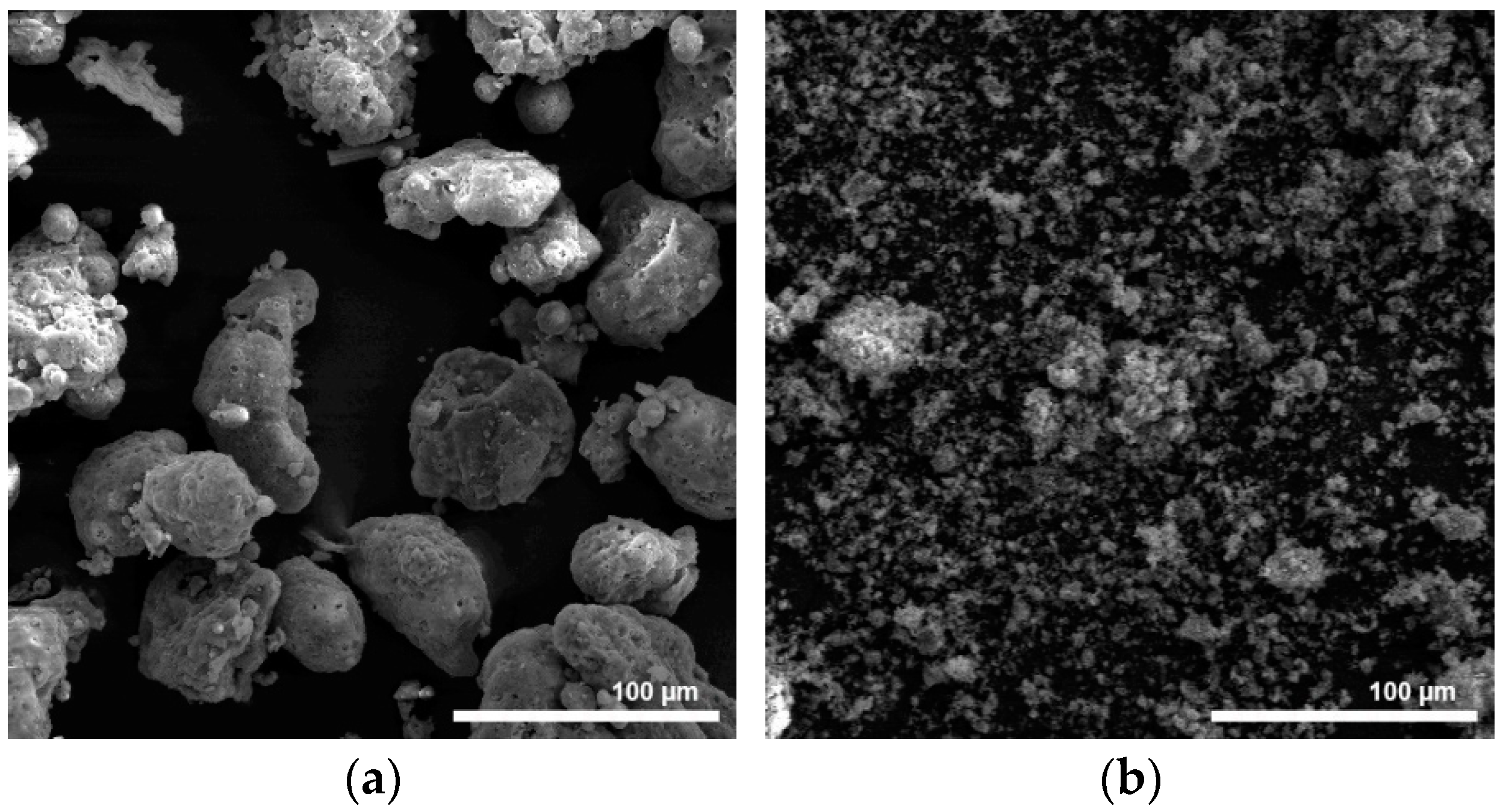 Materproc 13 00008 g001