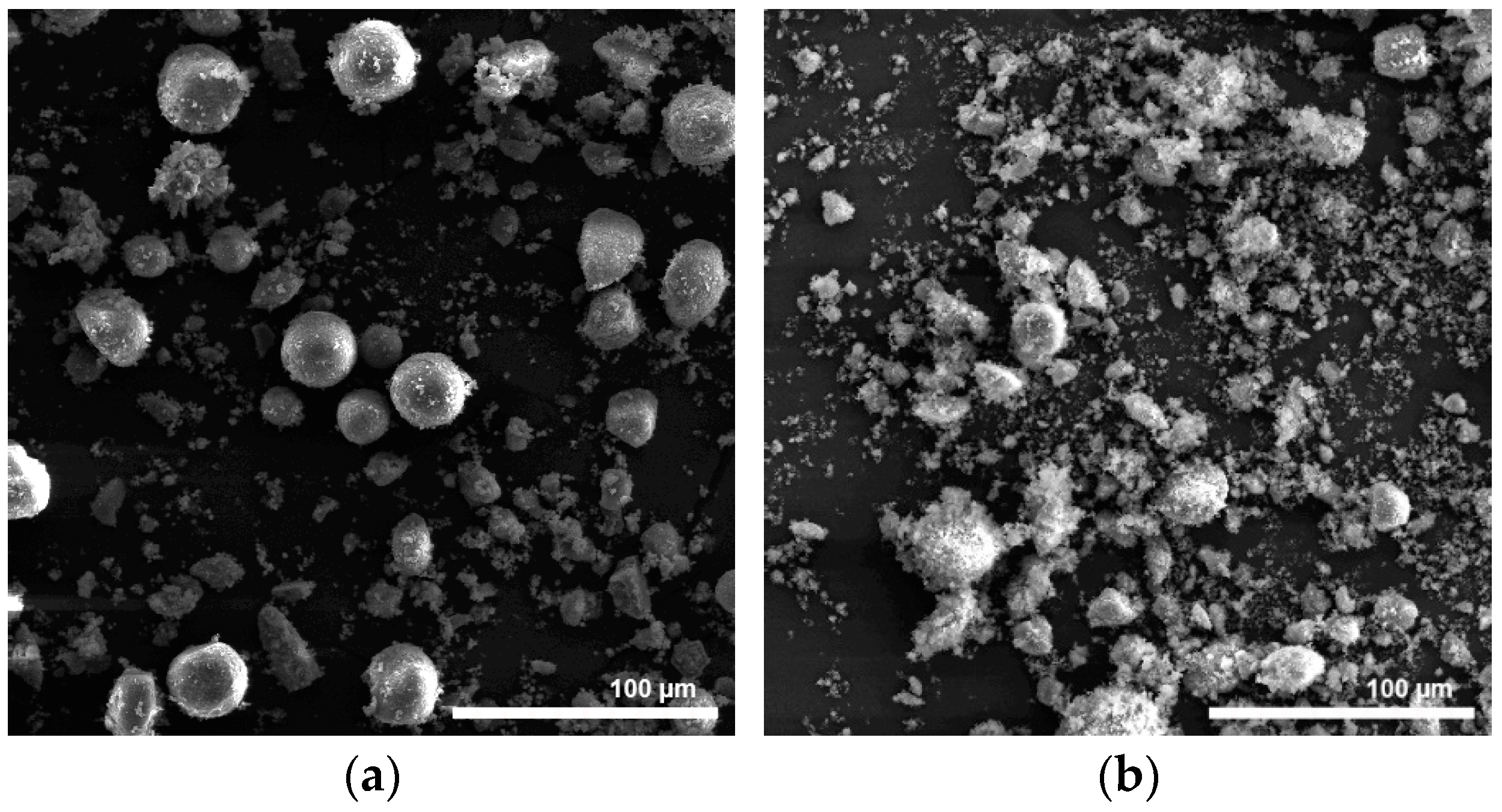 Materproc 13 00008 g002