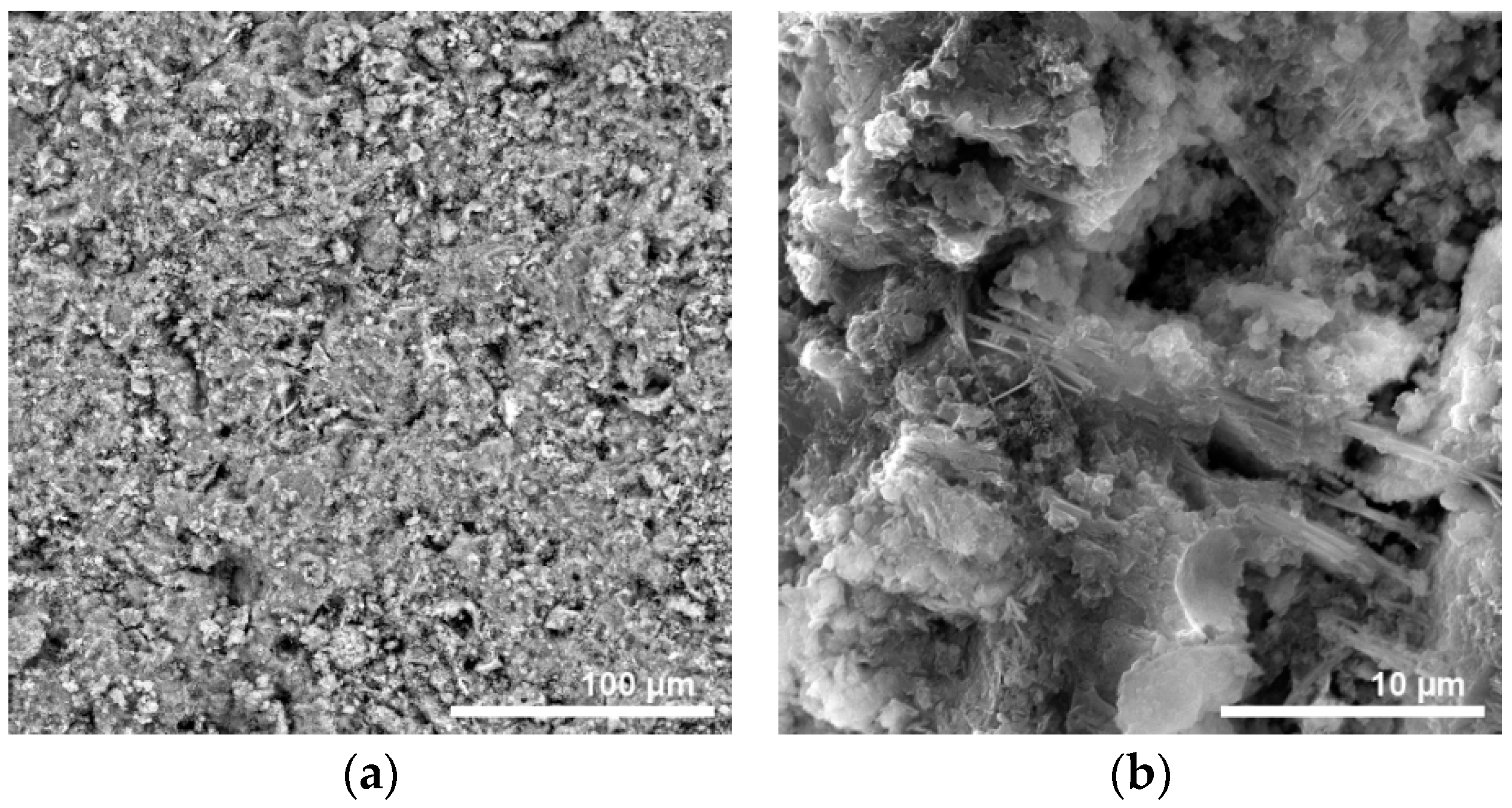 Materproc 13 00008 g008