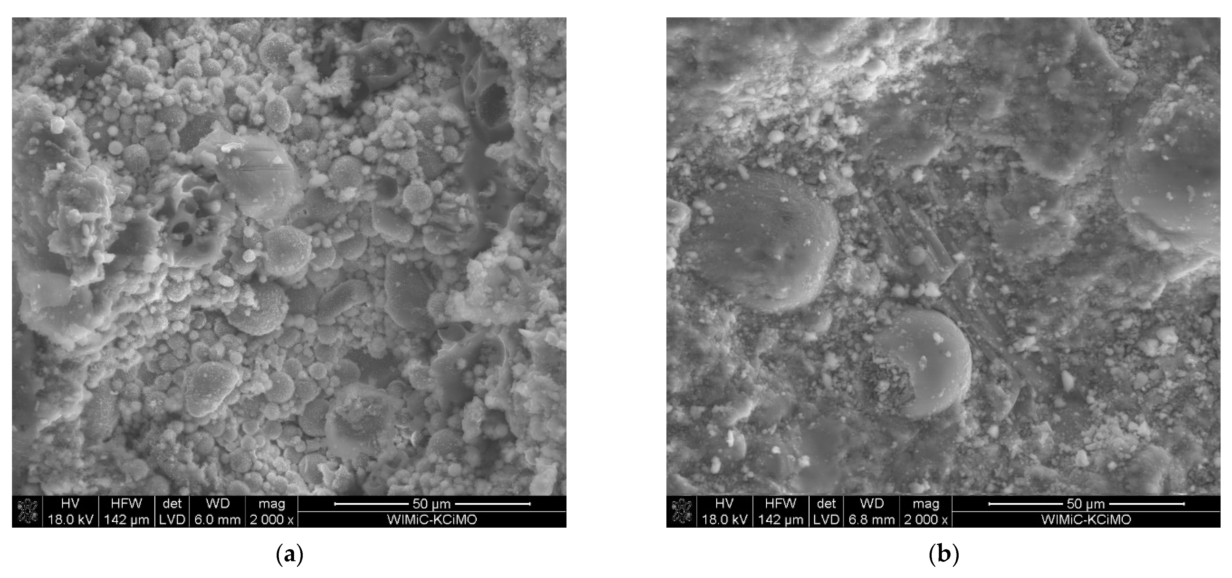 Materproc 13 00011 g003 Materproc 13 00011 g003