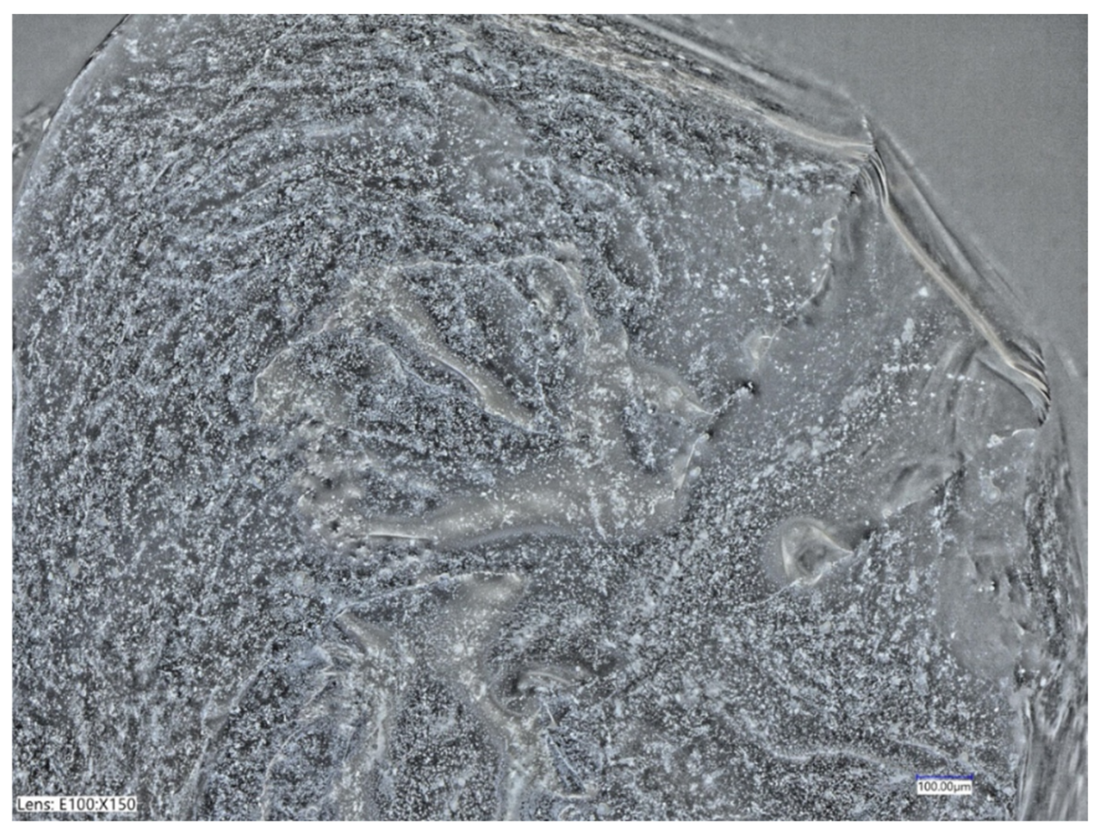 Materproc 13 00023 g002 Materproc 13 00023 g002