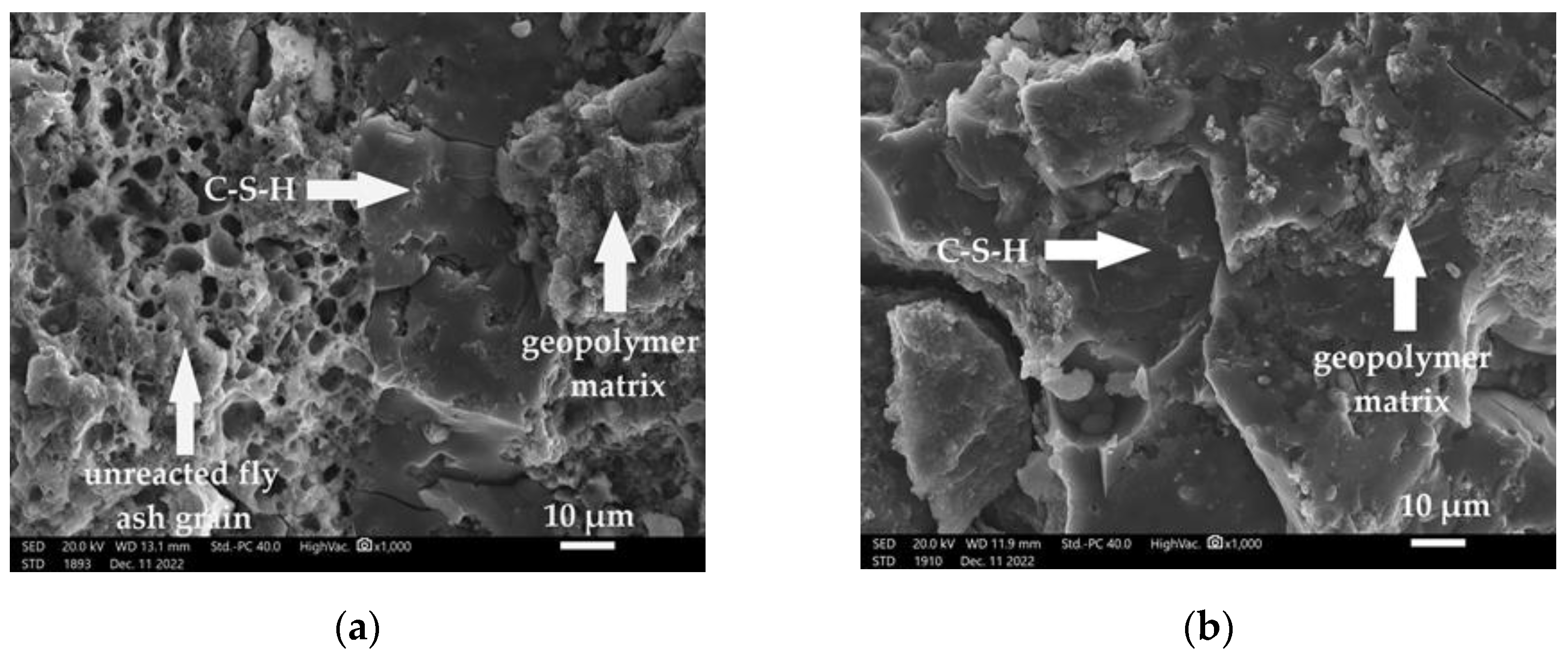Materproc 13 00028 g003 Materproc 13 00028 g003