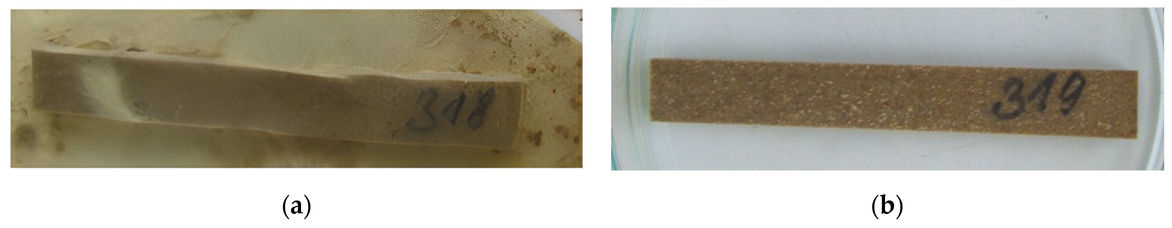 Materproc 13 00033 g001 Materproc 13 00033 g001