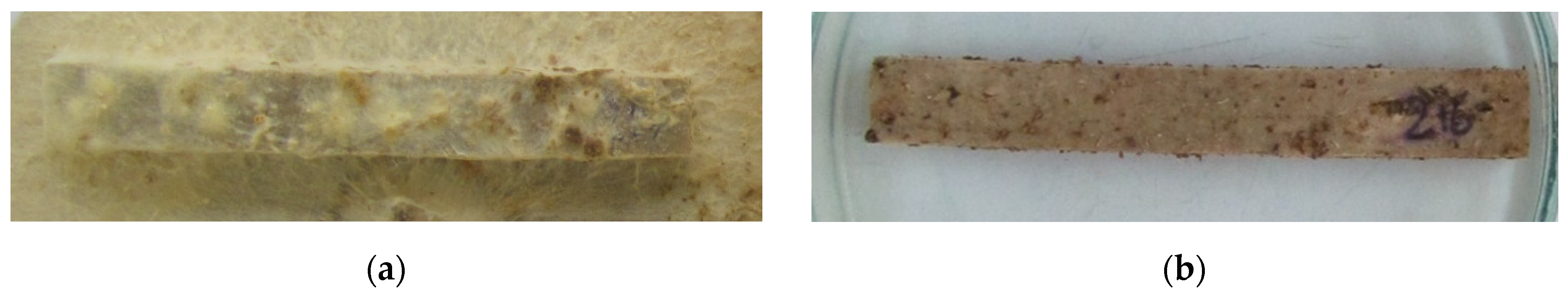 Materproc 13 00033 g002 Materproc 13 00033 g002