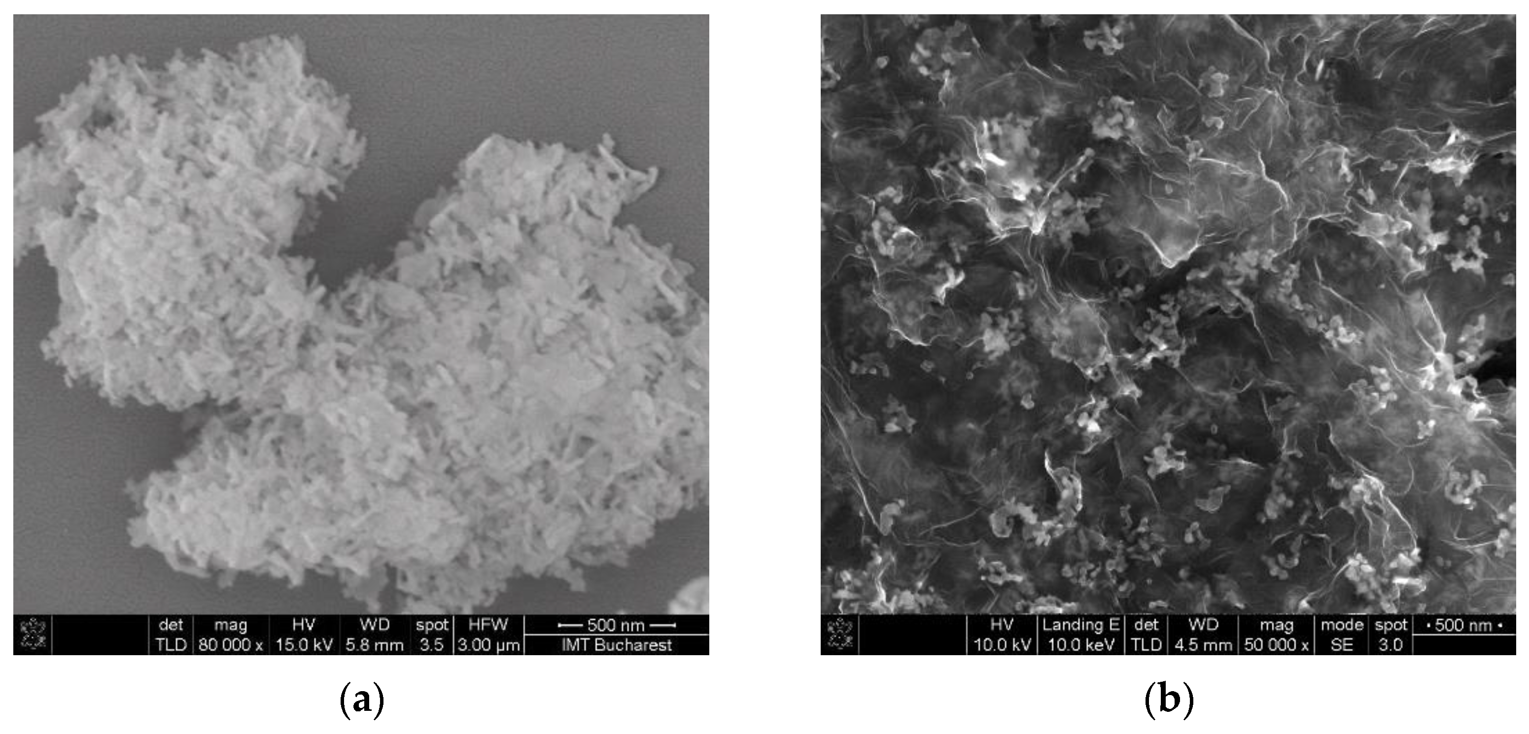 Materproc 14 00008 g003