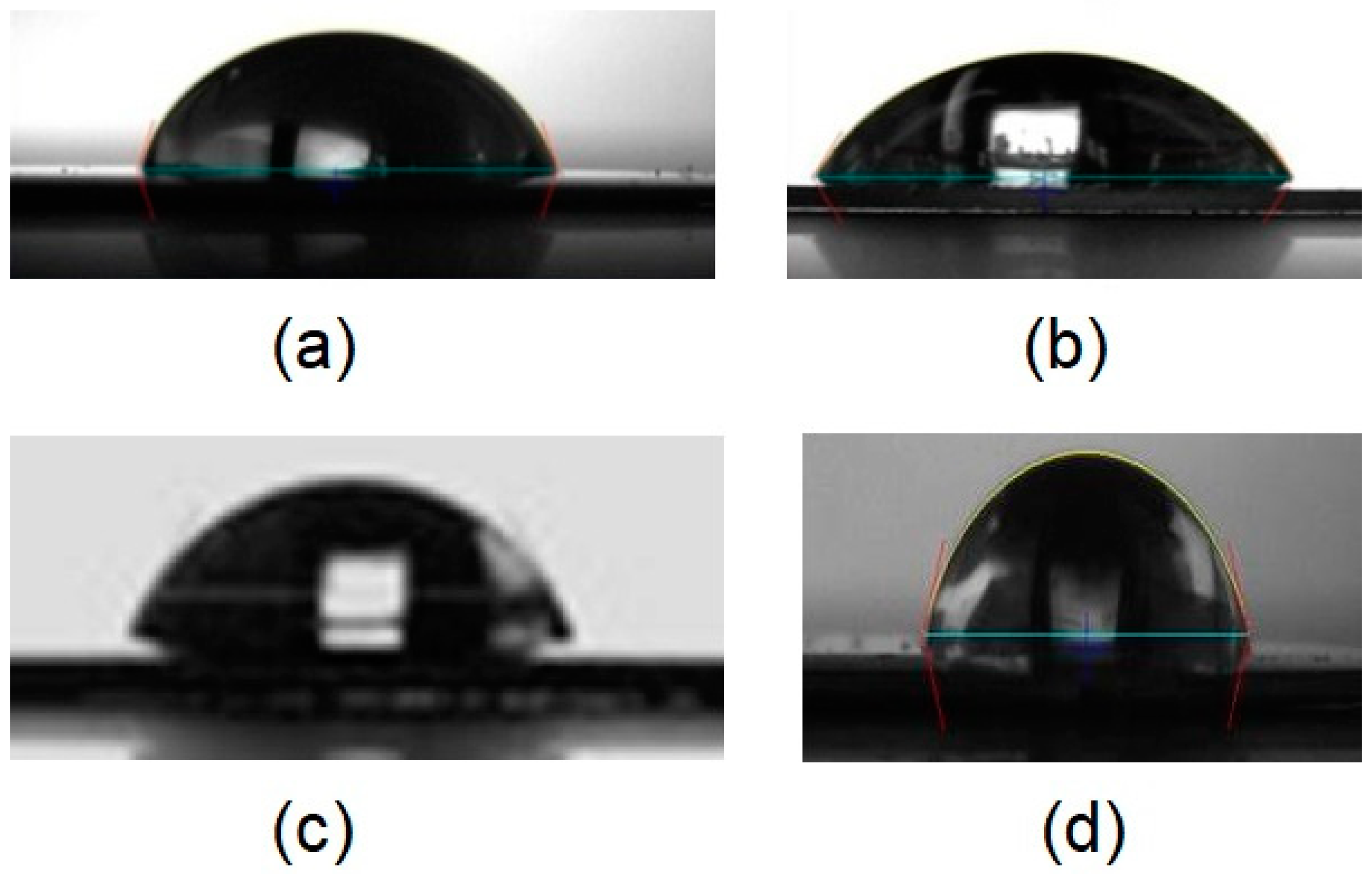 Materproc 14 00010 g001